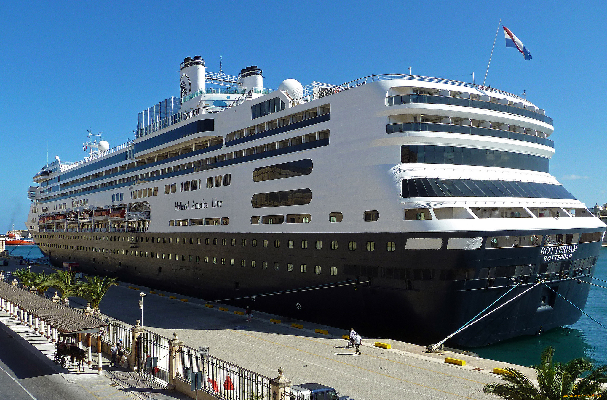 rotterdam, корабли, лайнеры, круизный, лайнер