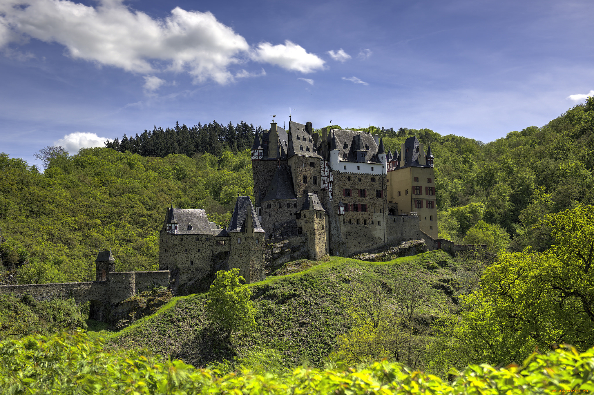 burg, eltz, , germany, города, замки, германии, замок, лес, горы