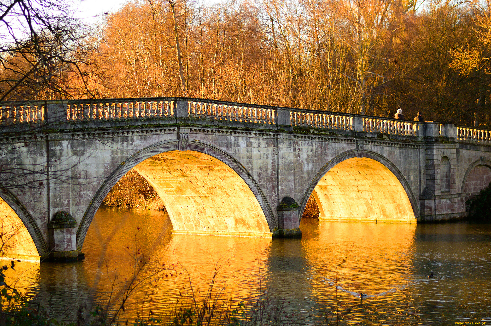 города, -, мосты, деревья, река, мост