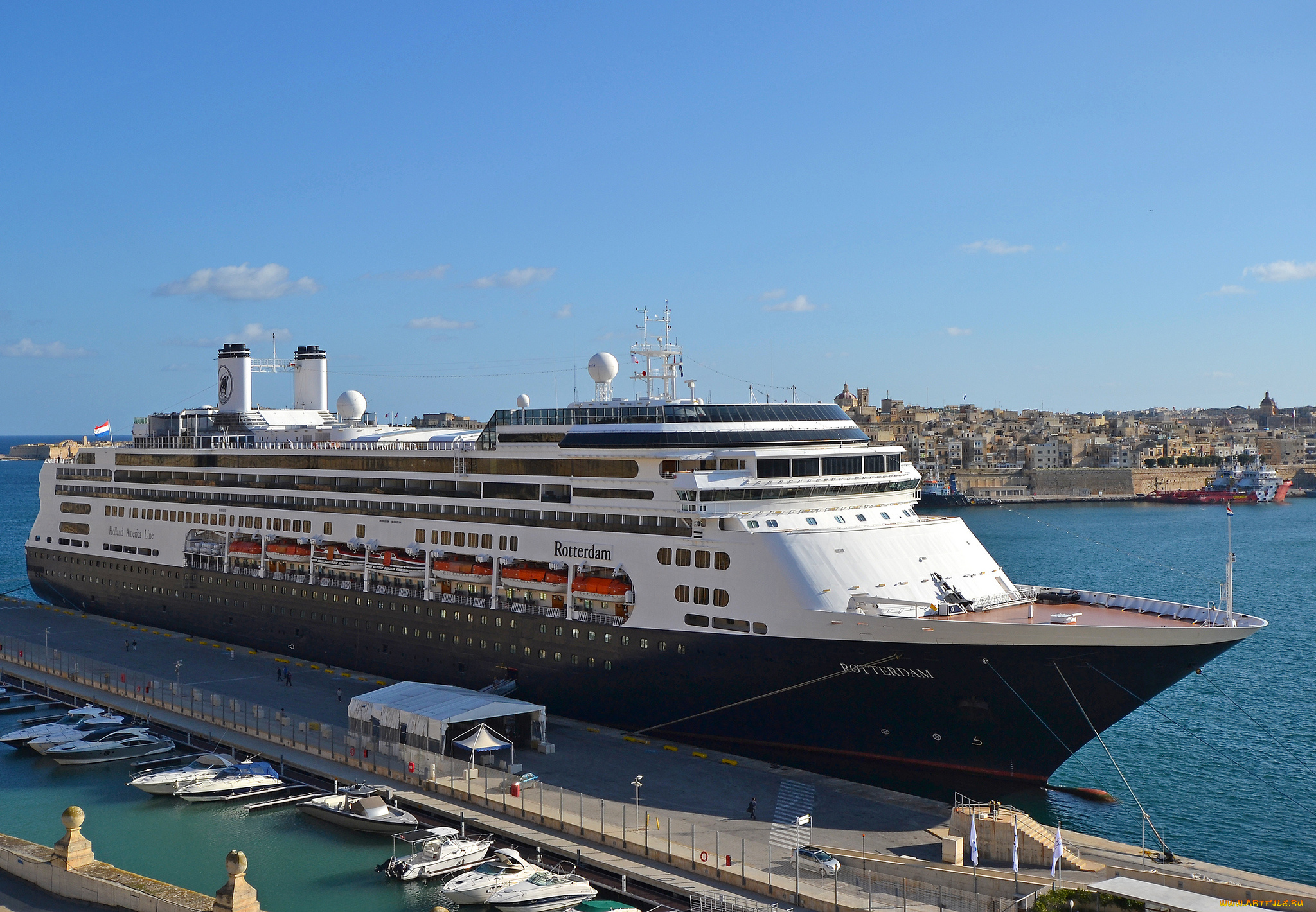 rotterdam, корабли, лайнеры, круизный, лайнер