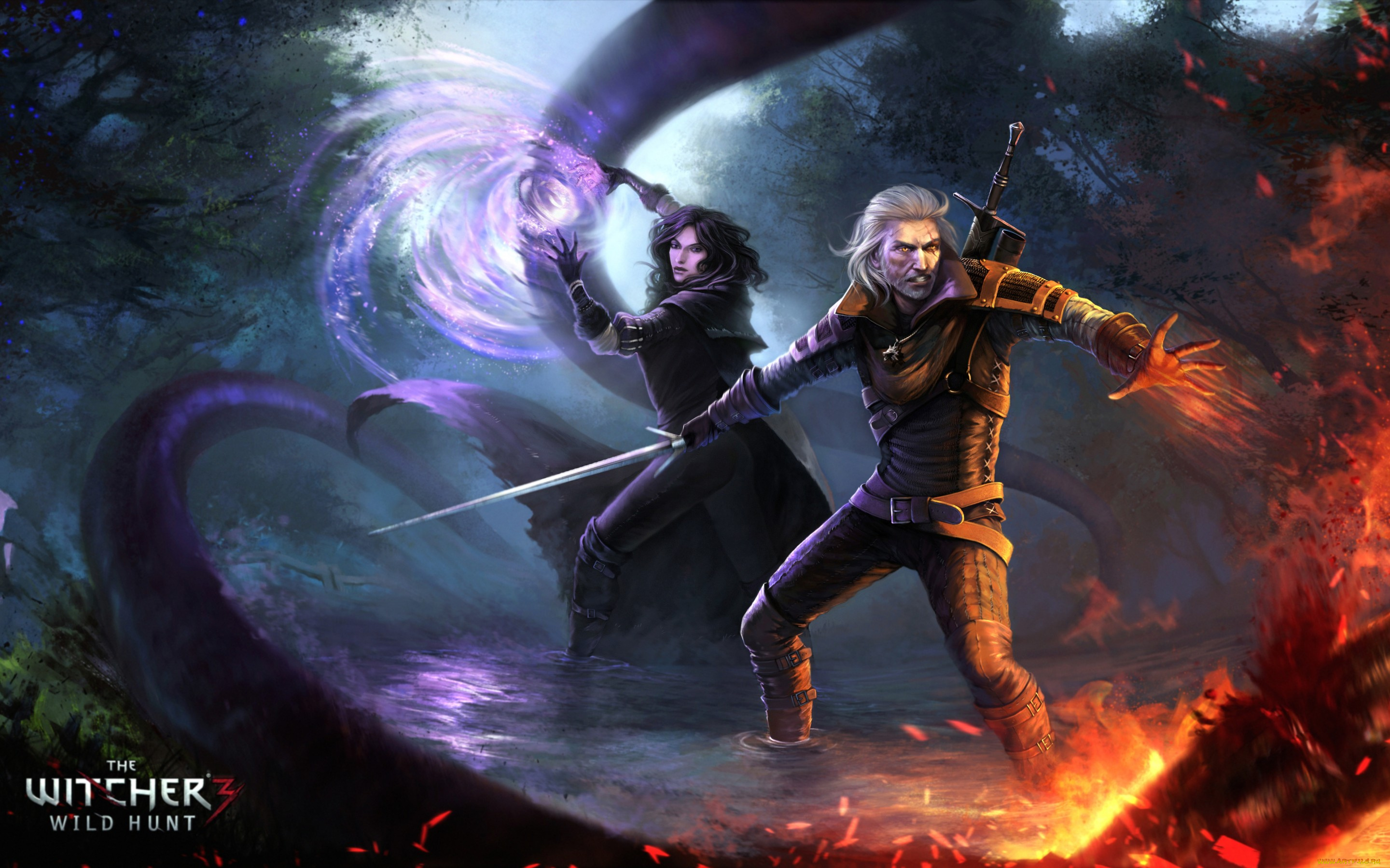 видео, игры, the, witcher, 3, , wild, hunt, магия, ведьмак, маг, yennefer, девушка, art, geralt, of, rivia, vengerberg, the, witcher, 3, wild, hunt, white, wolf, butcher, blaviken