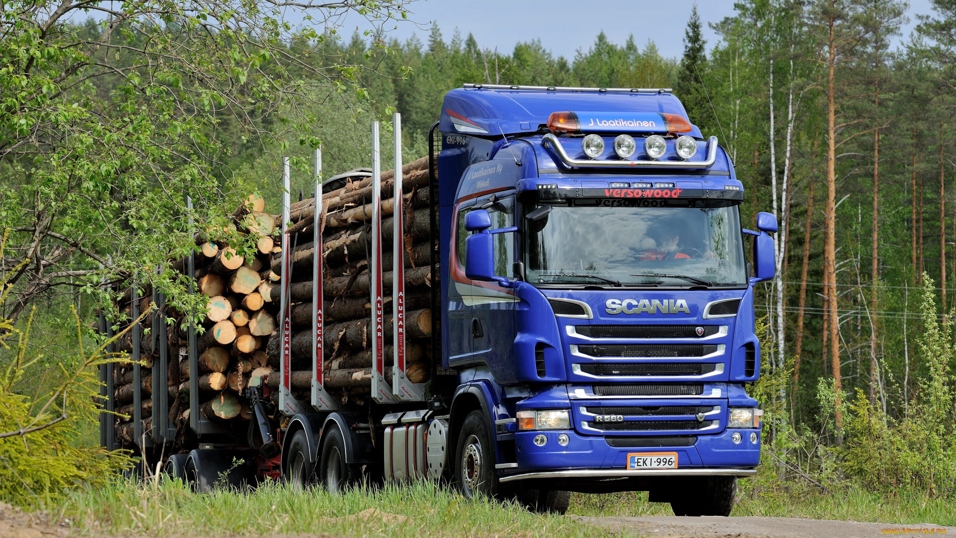 автомобили, scania, truck, timber, r560