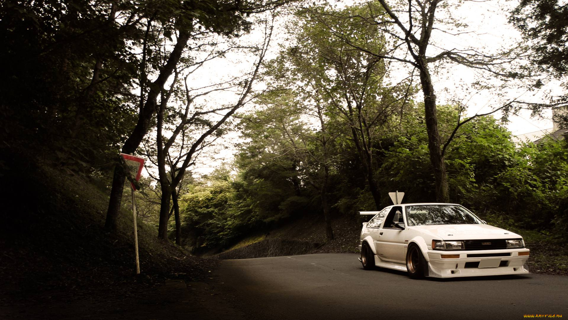 автомобили, toyota