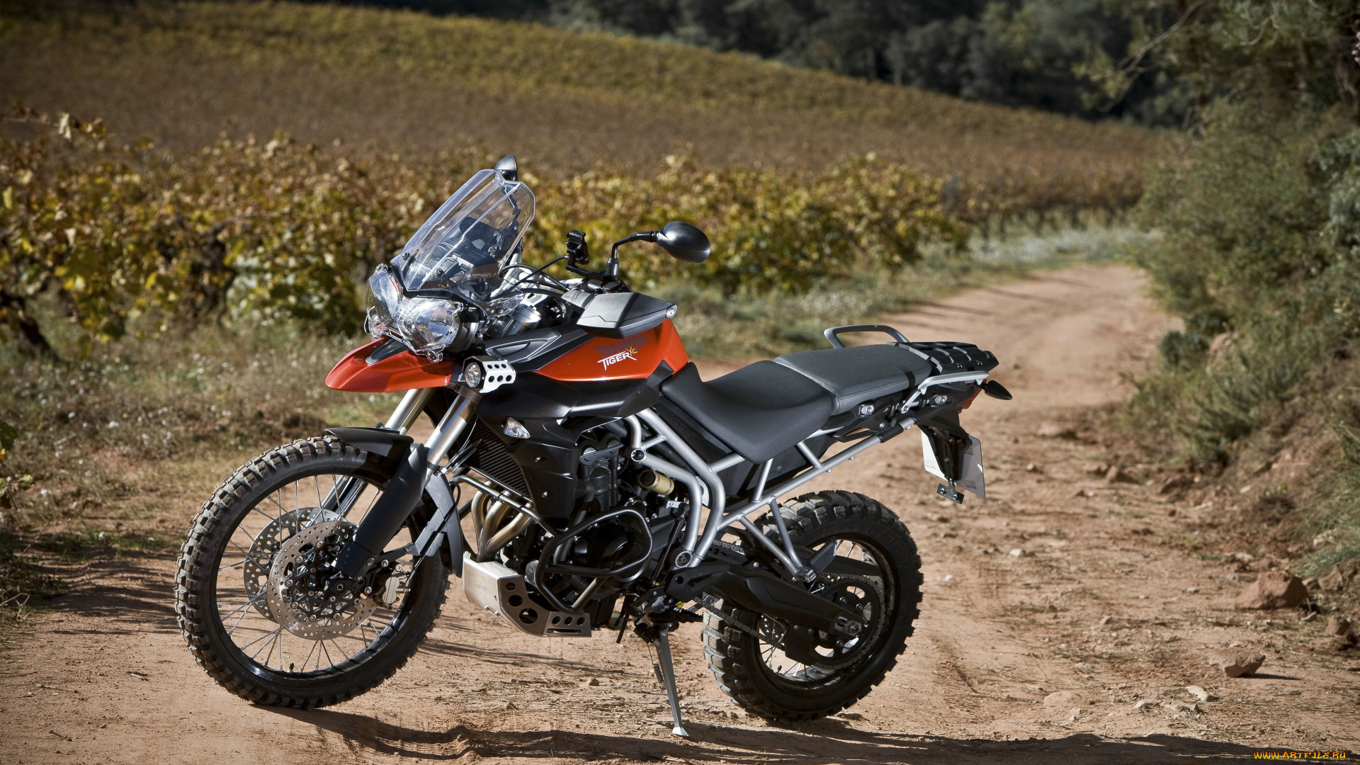 мотоциклы, triumph