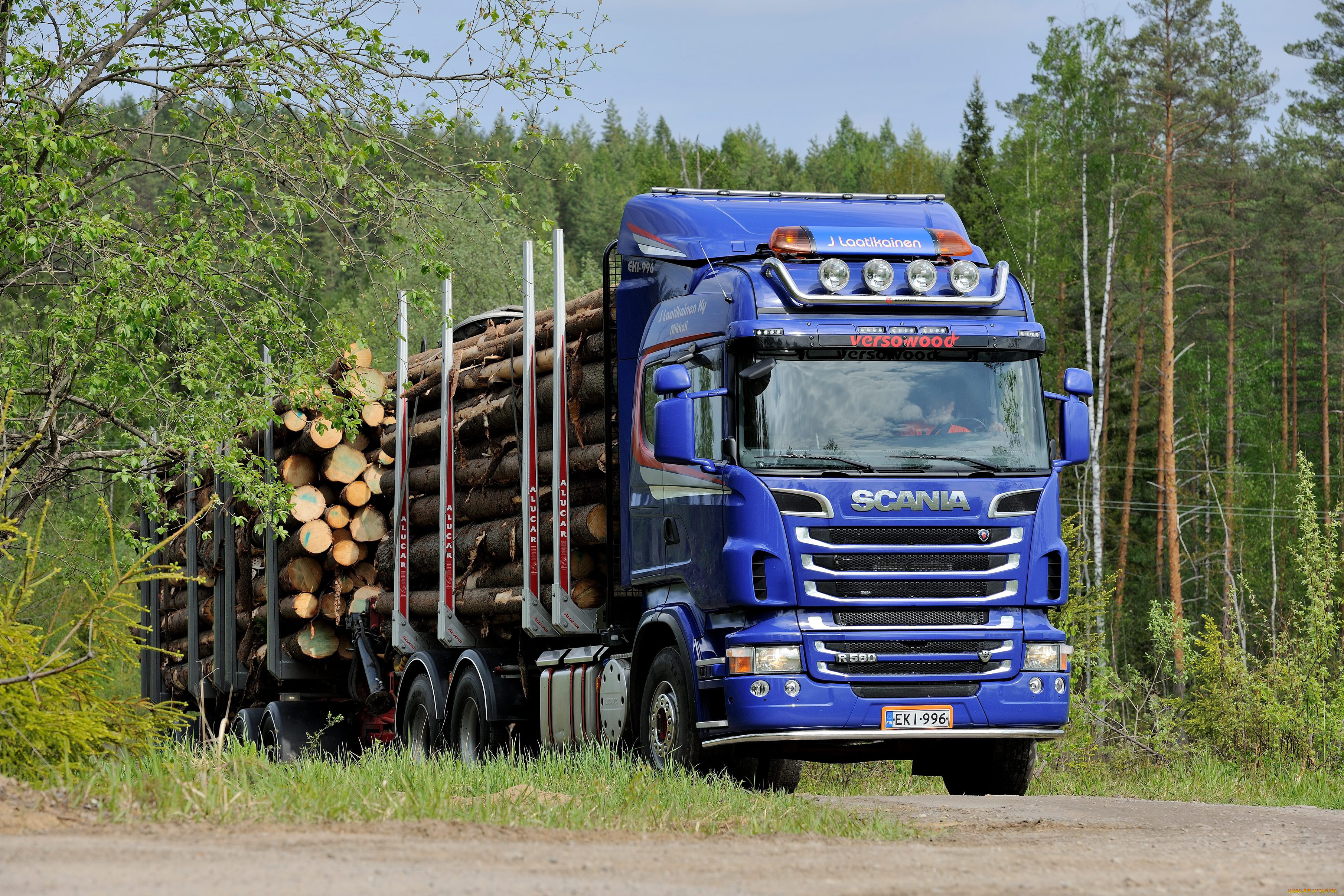 автомобили, scania, truck, timber, r560