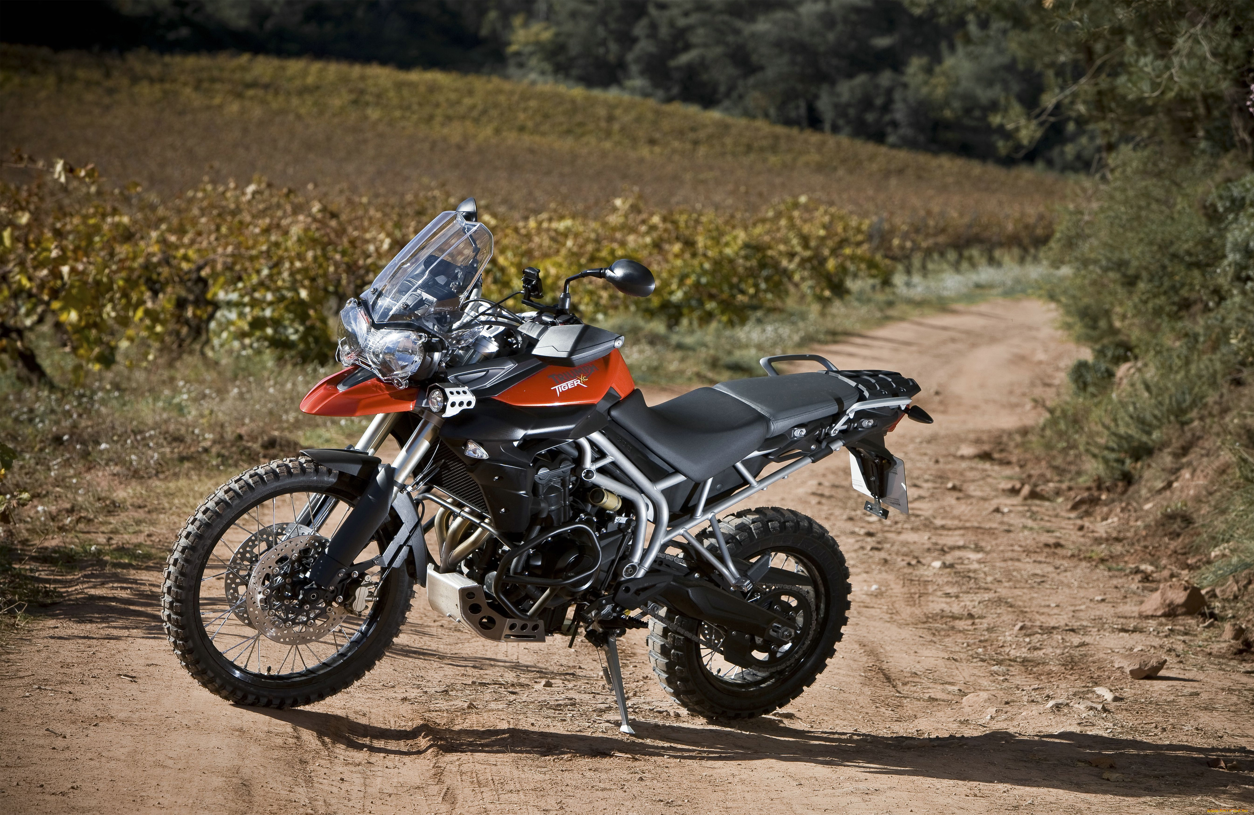 мотоциклы, triumph