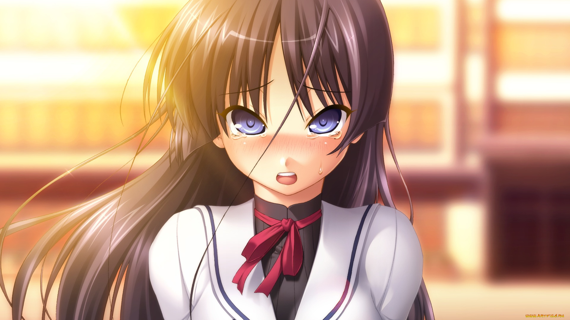 аниме, chu&, 215, chu, девушка, фон, взгляд