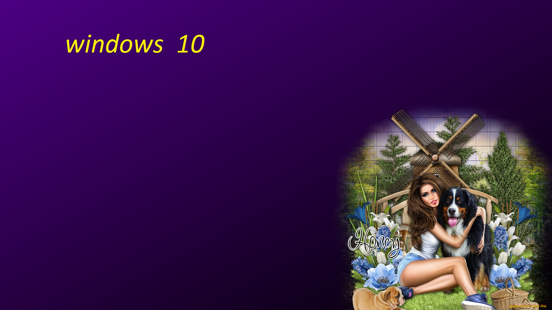 компьютеры, windows, , 10, фон, логотип