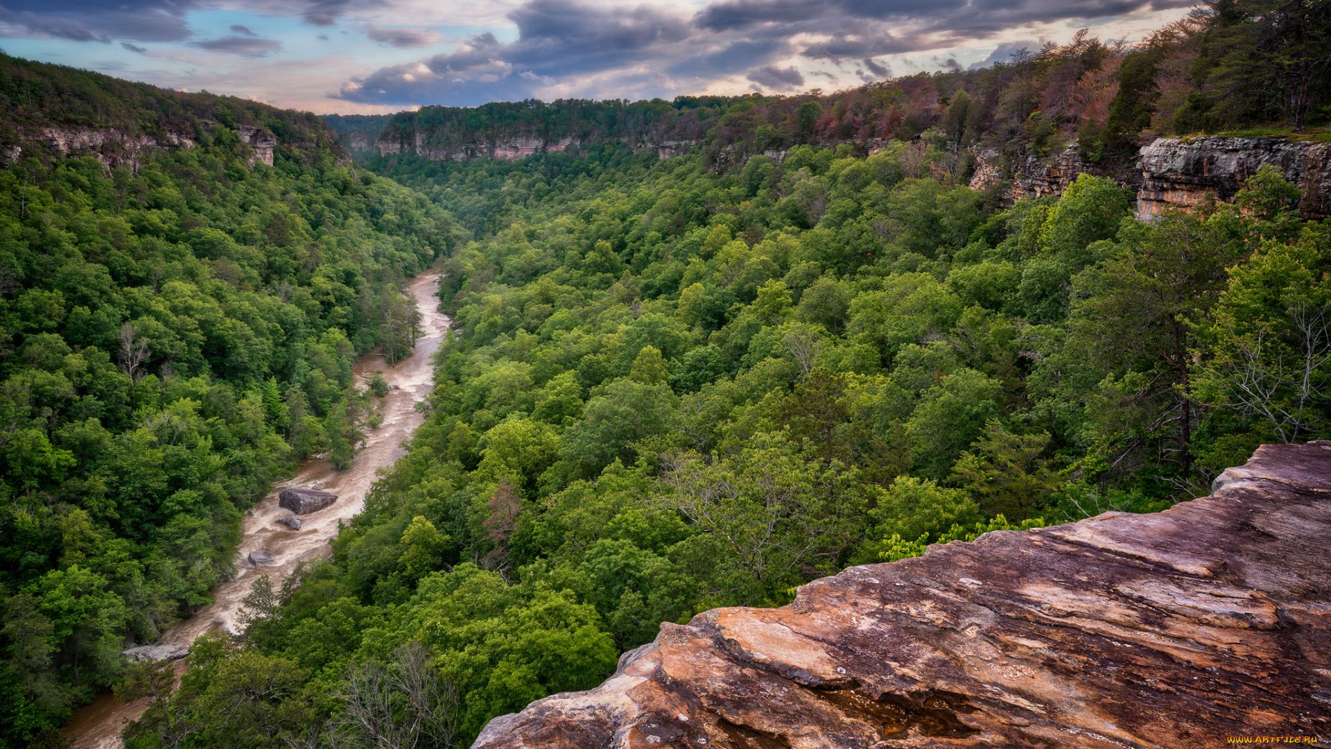 природа, пейзажи, река, лес