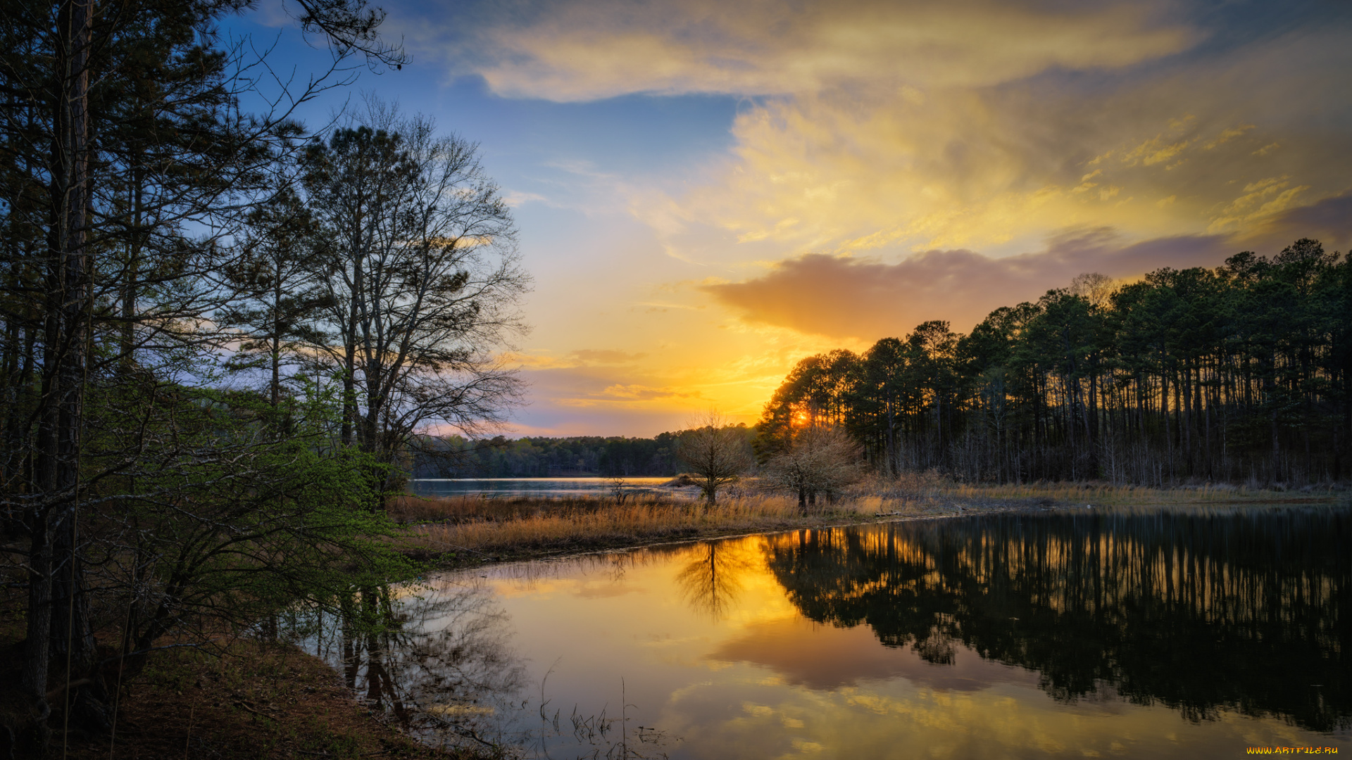 природа, восходы, закаты, река, лес