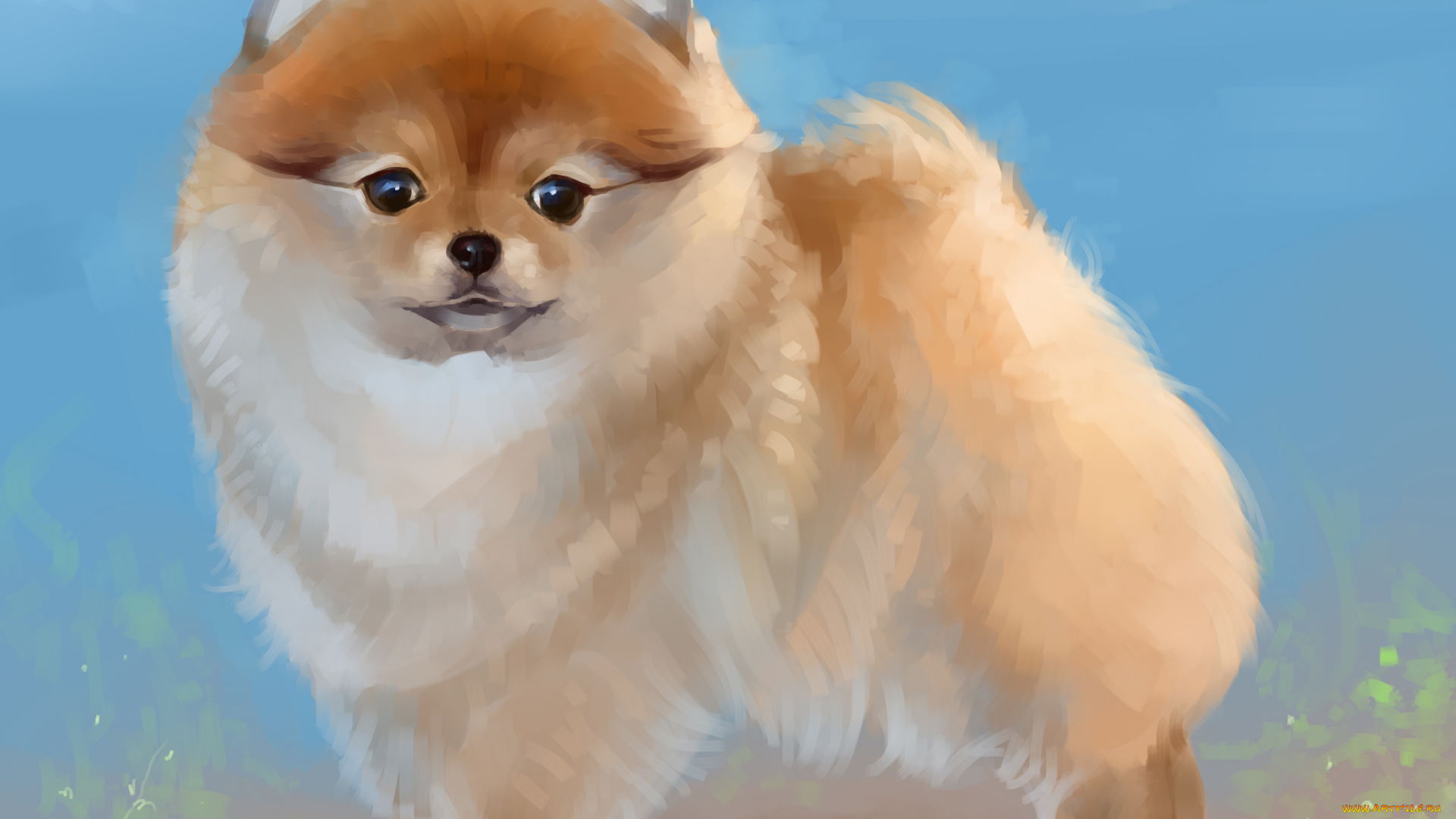 рисованное, животные, , собаки, карликовый, шпиц, собака, by, salamandra-s