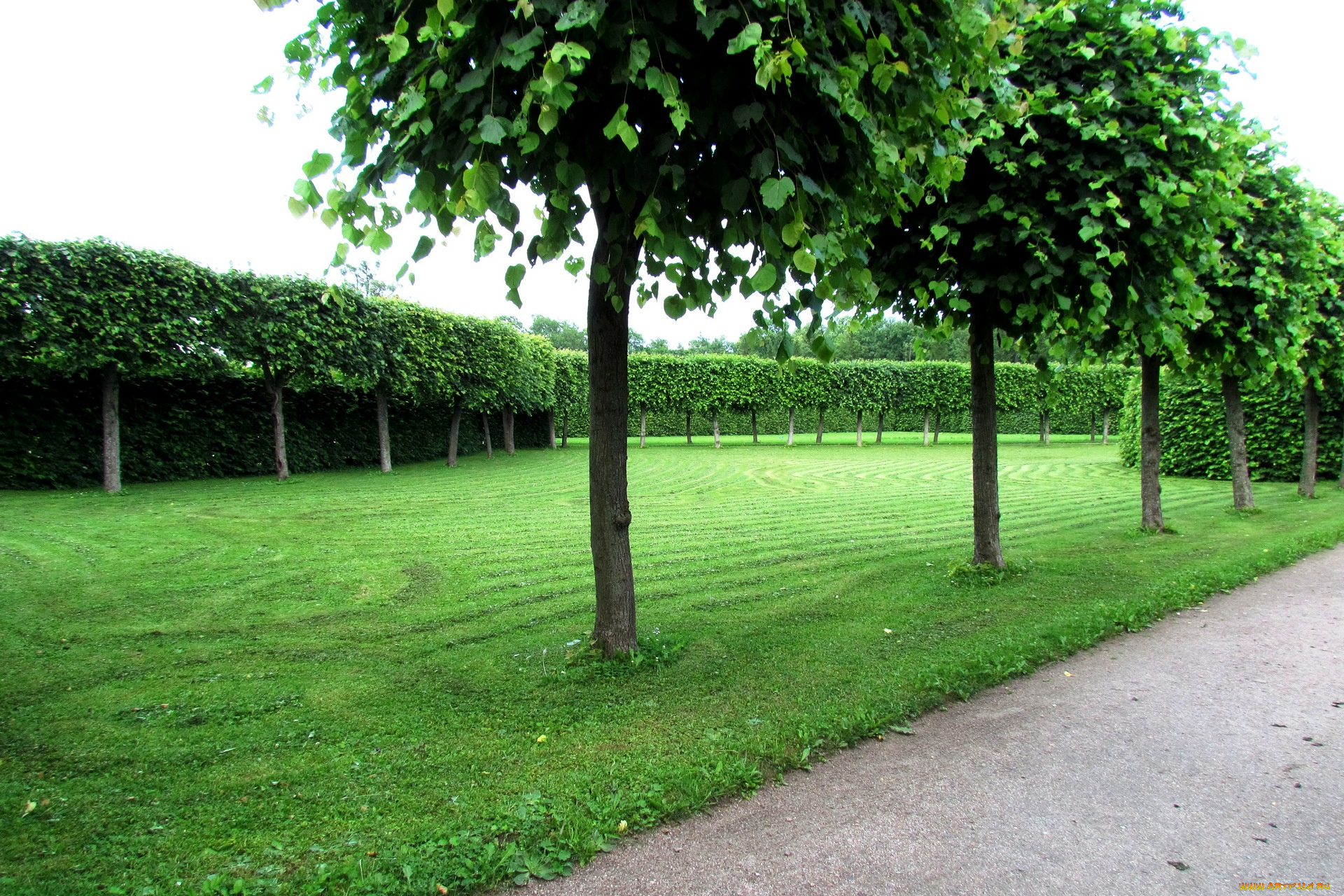 природа, парк, трава, деревья