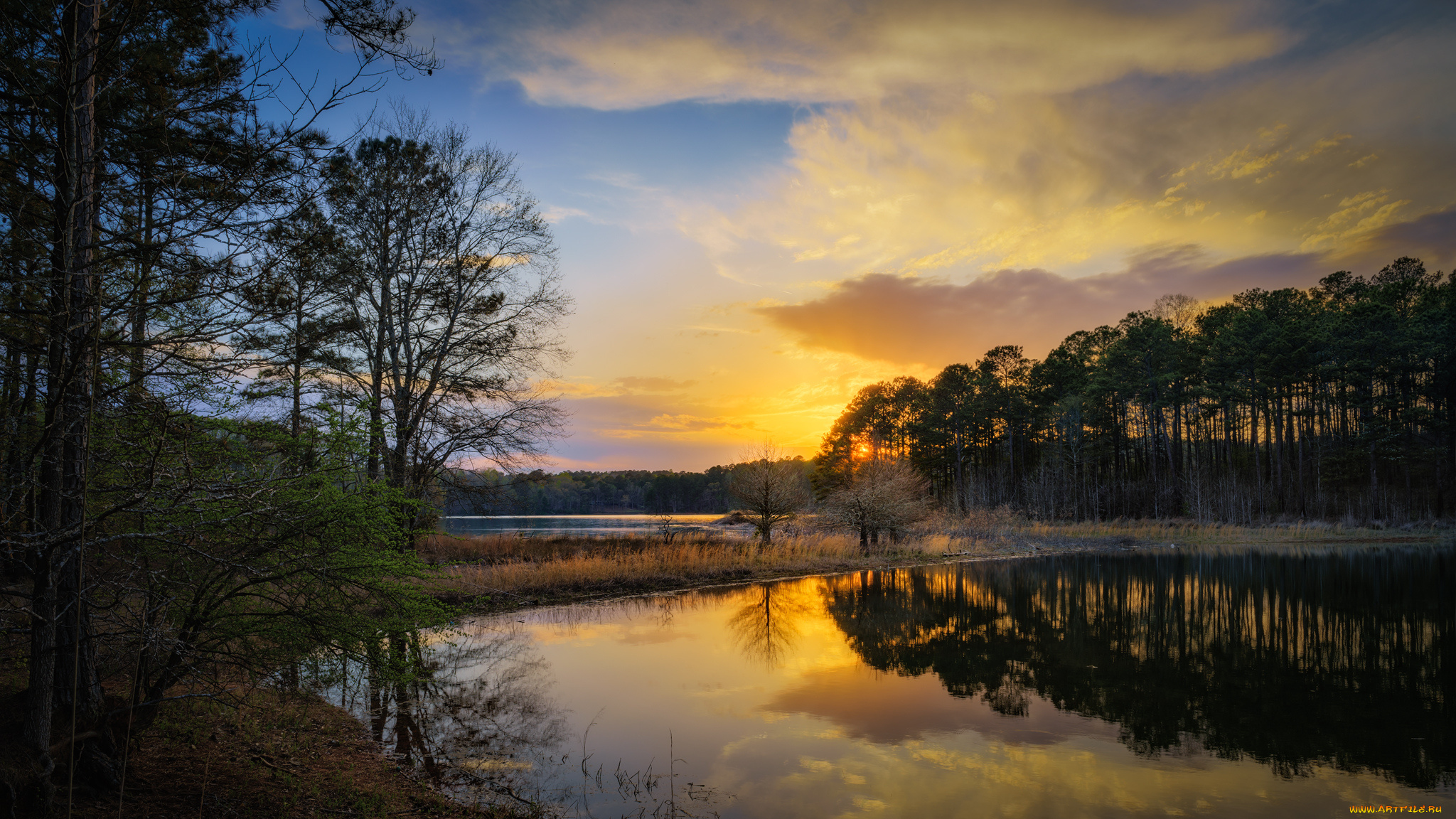 природа, восходы, закаты, река, лес