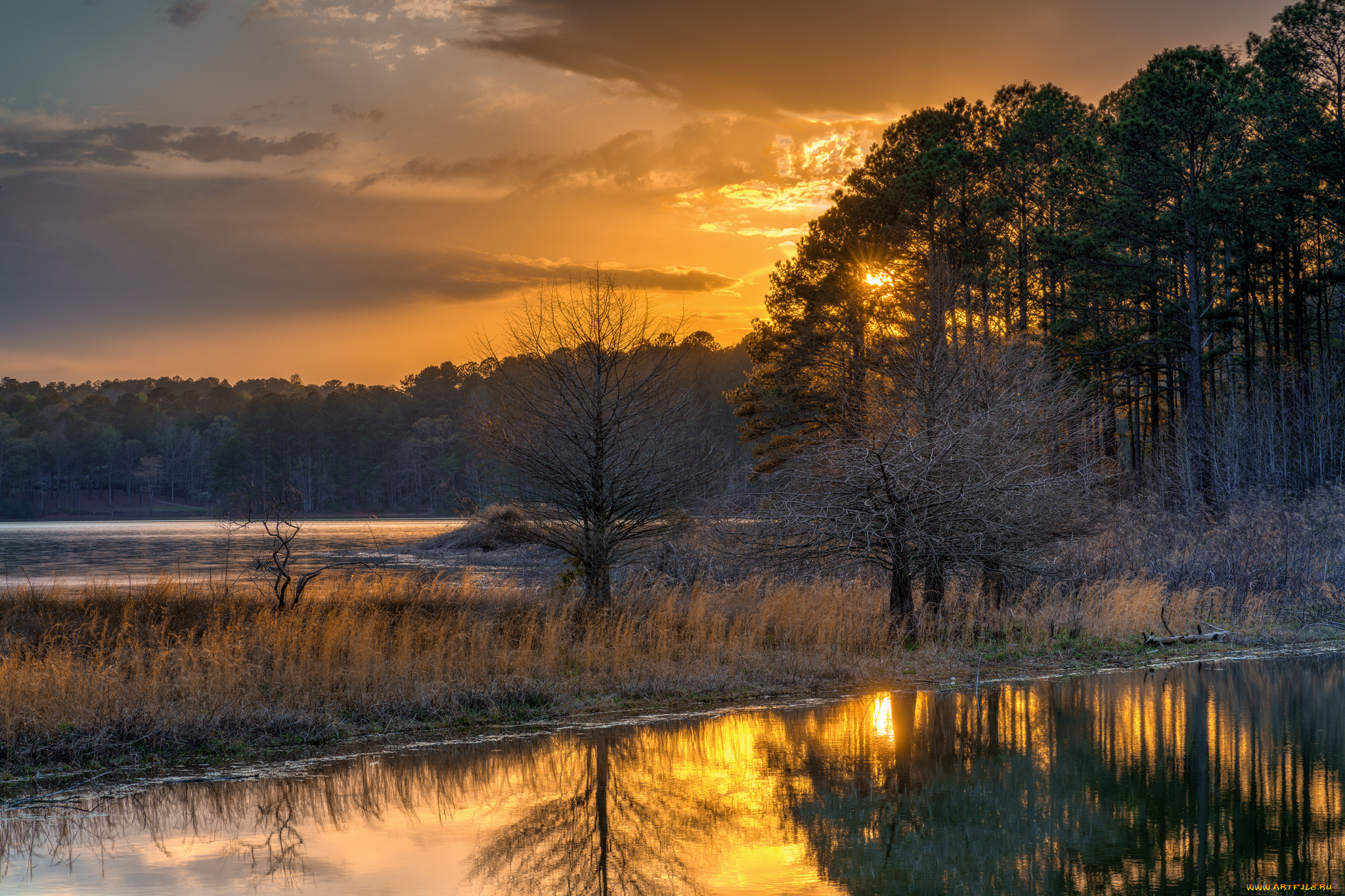 природа, реки, озера, лес, река