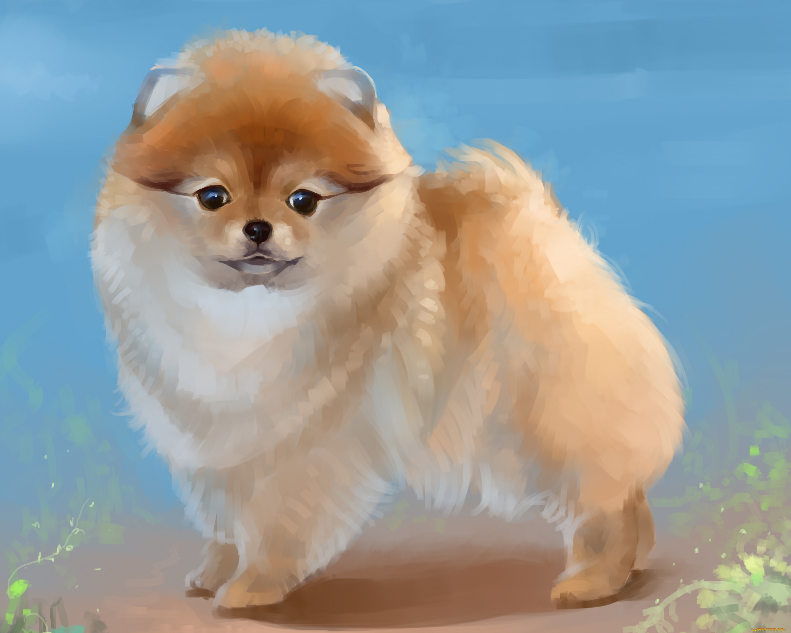 рисованное, животные, , собаки, карликовый, шпиц, собака, by, salamandra-s