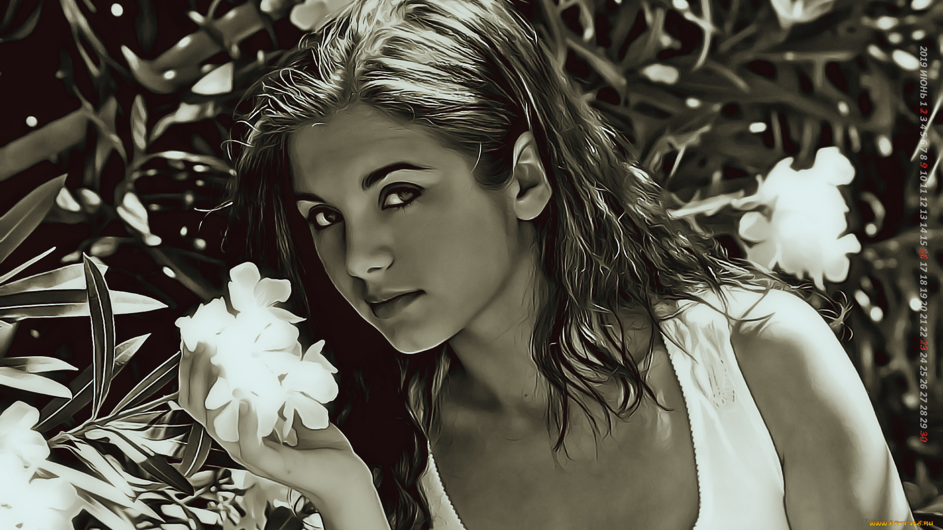 календари, компьютерный, дизайн, цветы, взгляд, девушка