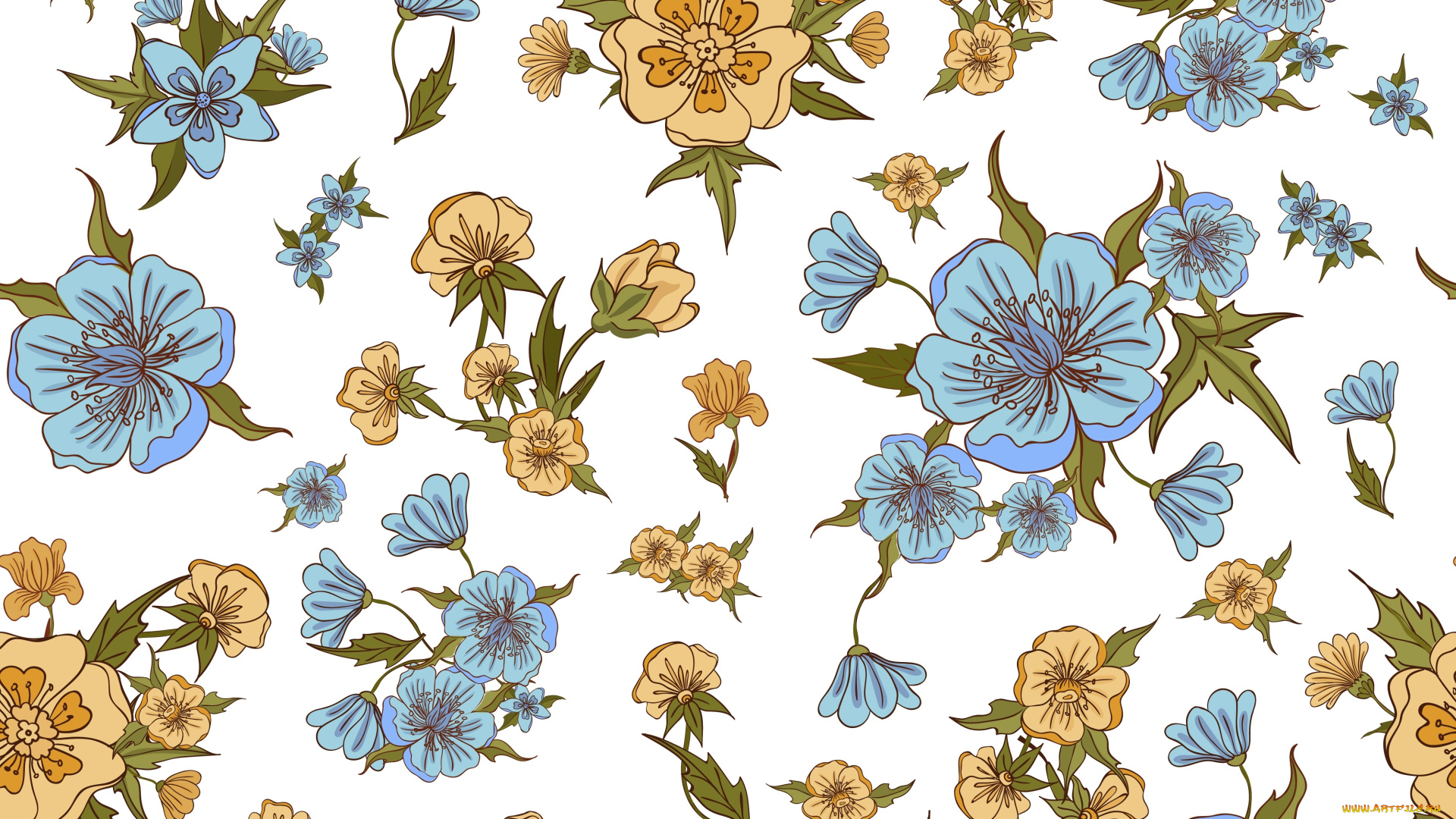 векторная, графика, цветы, , flowers, фон, цветы