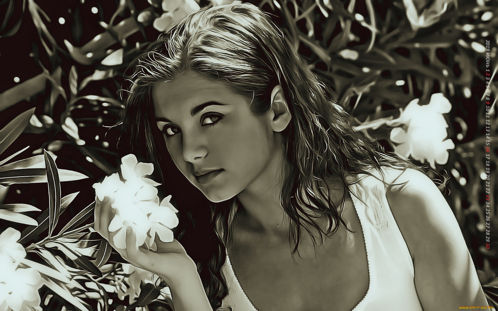 календари, компьютерный, дизайн, цветы, взгляд, девушка