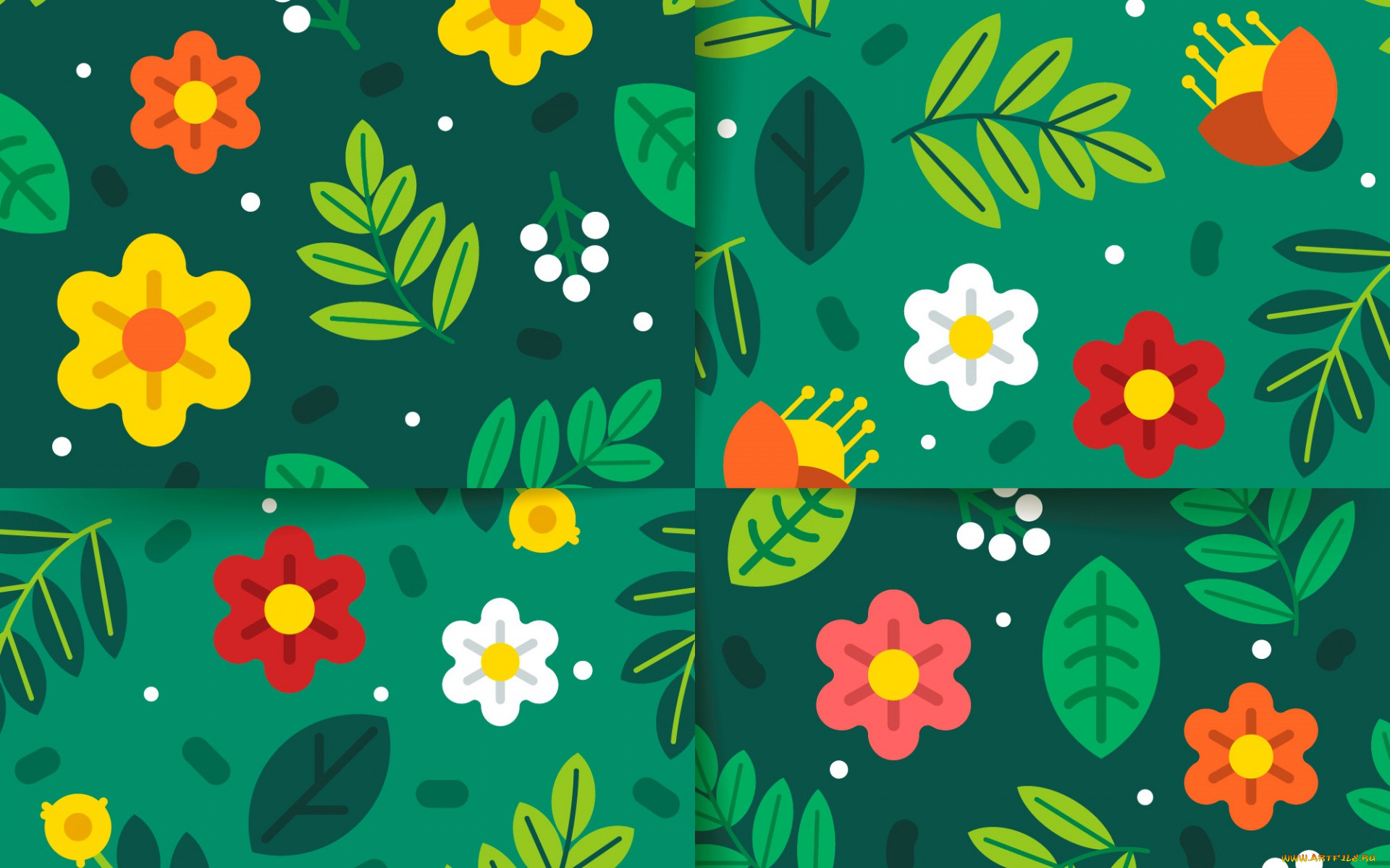 векторная, графика, цветы, , flowers, фон, цветы