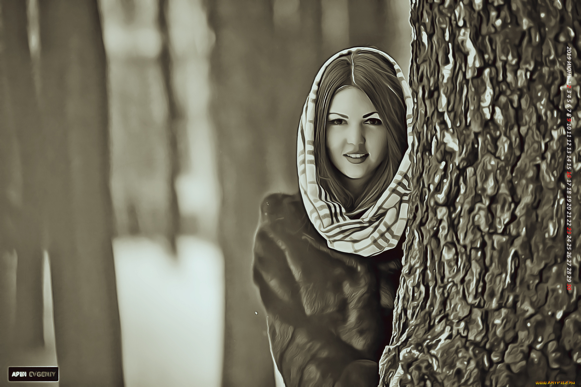 календари, компьютерный, дизайн, холод, дерево, взгляд, девушка