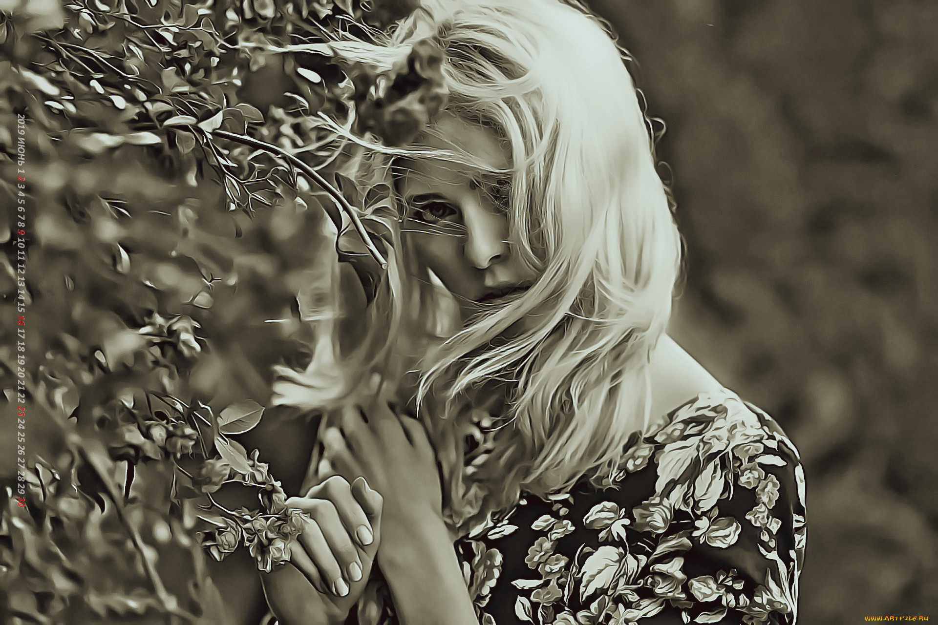 календари, компьютерный, дизайн, листья, ветер, девушка, взгляд, ветки