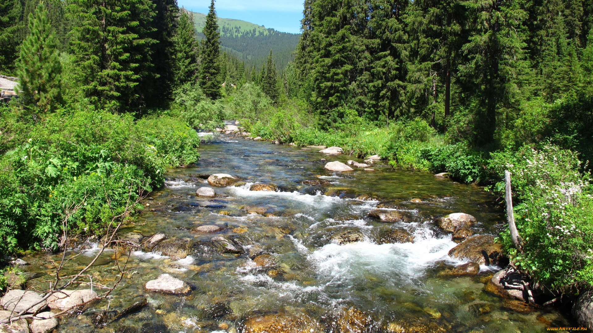 саяны, природа, реки, озера, россия, сибирь, река, деревья, камни