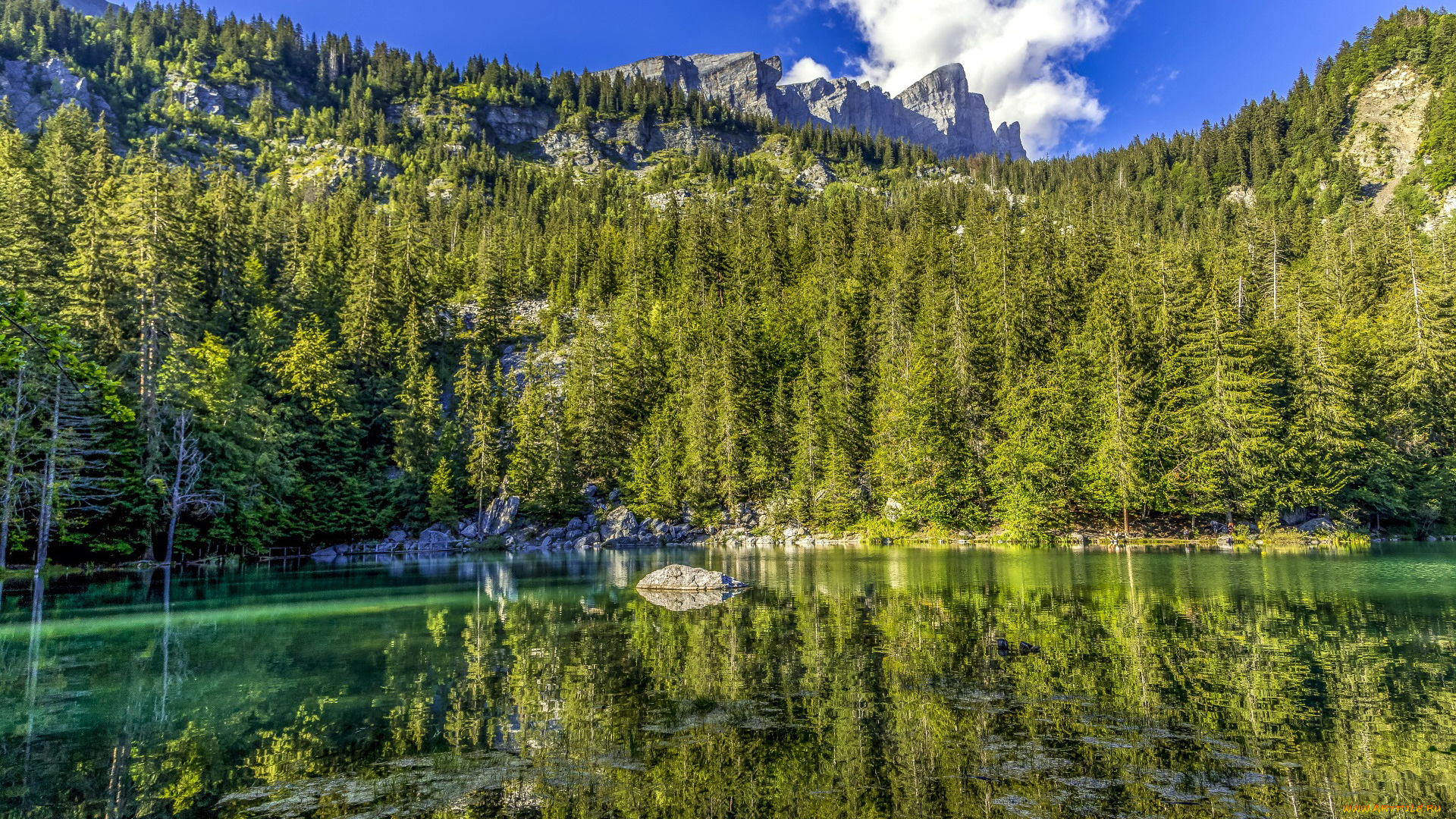 природа, реки, озера, горы, река, лес