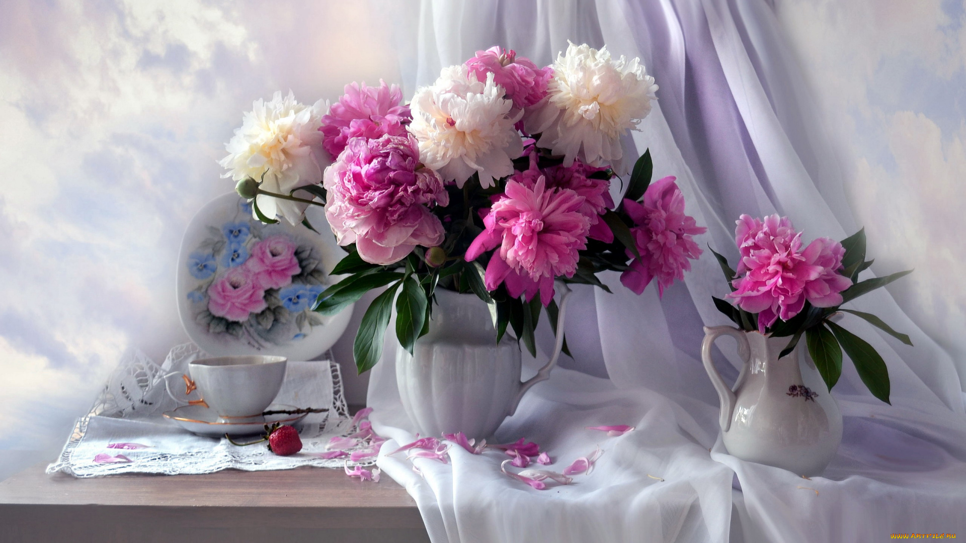 цветы, пионы, белые, розовые