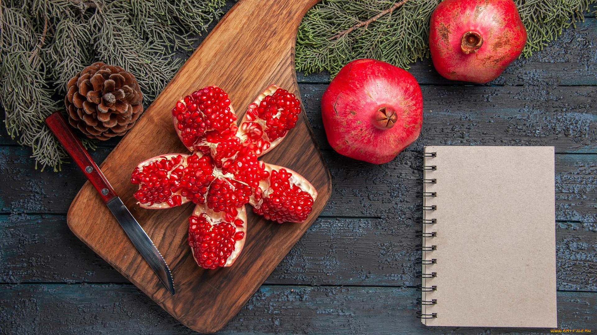 еда, гранат, шишка, блокнот, зерна