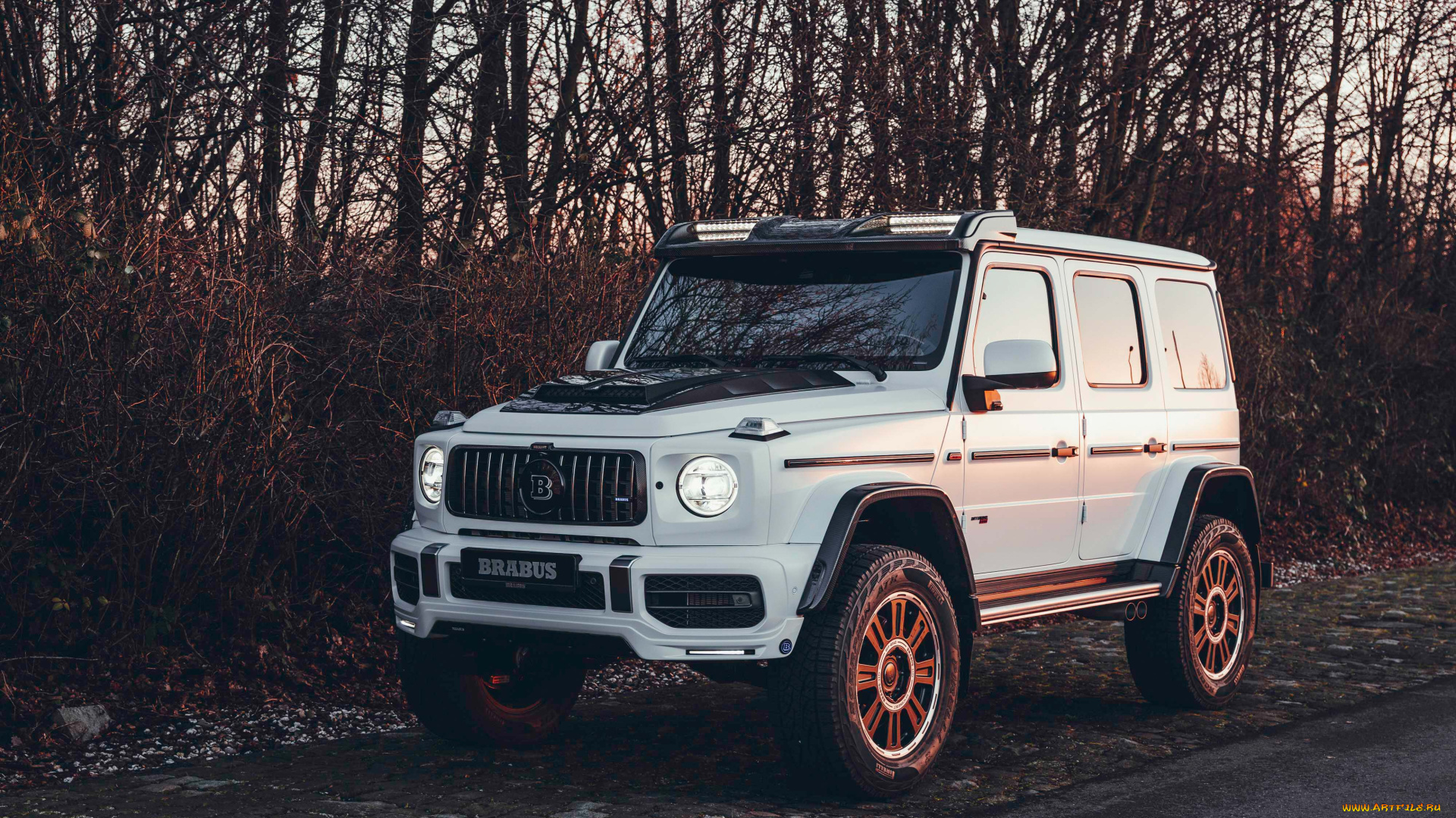 автомобили, brabus