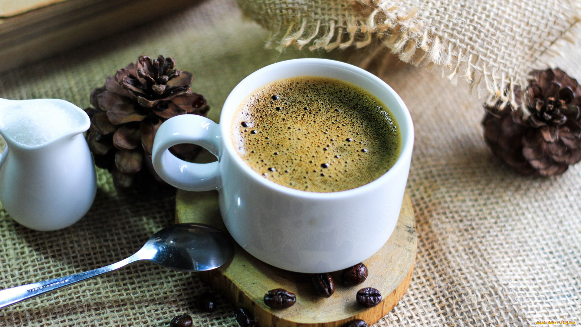 еда, кофе, , кофейные, зёрна, шишки, зерна, сахар