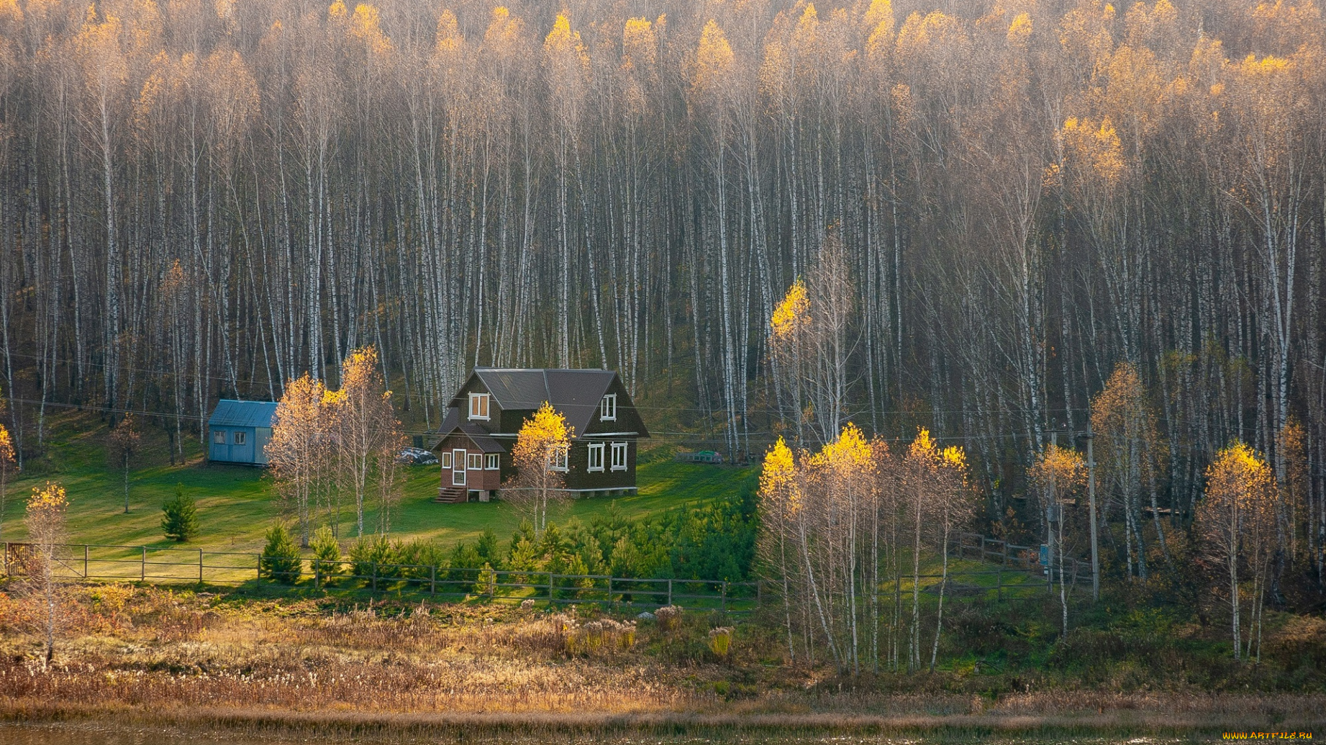 разное, сооружения, , постройки, лес