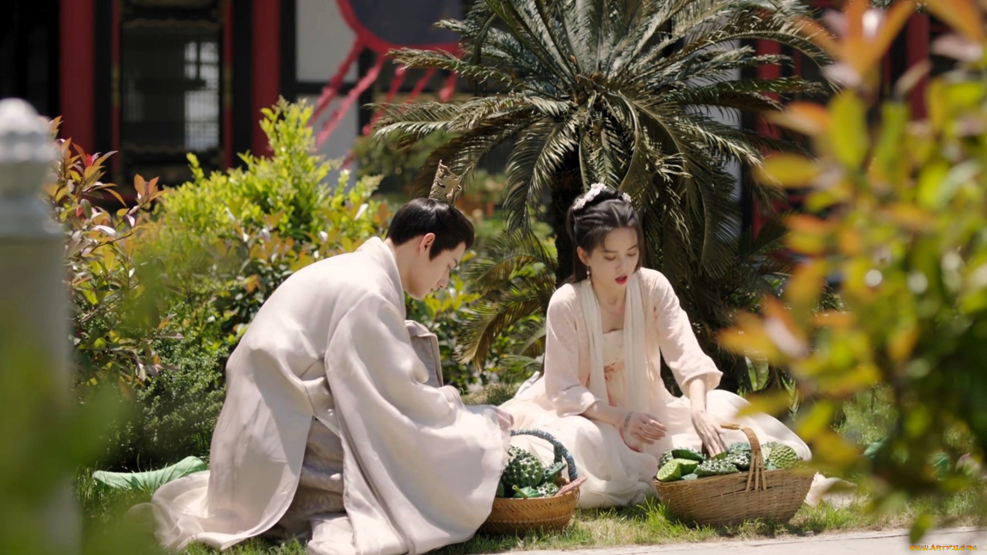 destiny, of, love, кино, фильмы, парень, девушка, сад, корзины, лотосы