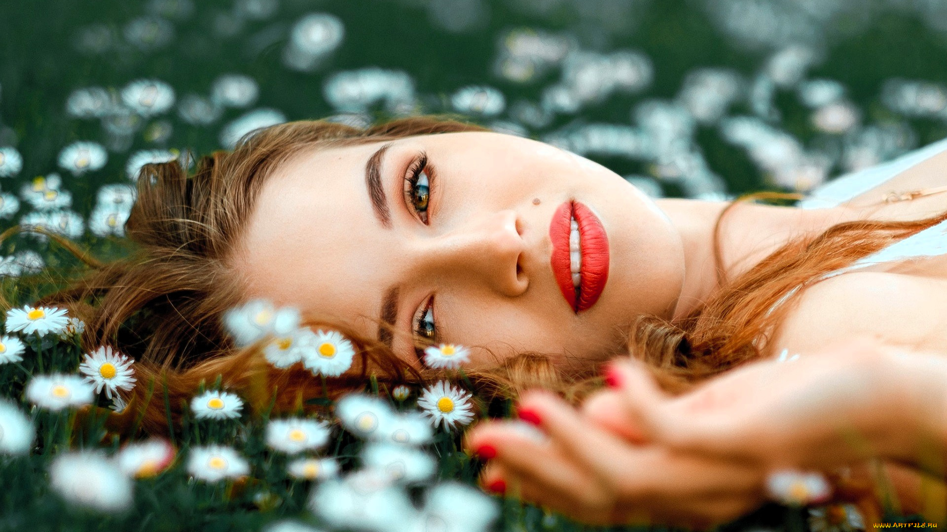 девушки, -, лица, , портреты, рыжая, лицо, поляна, трава, цветы, ромашки
