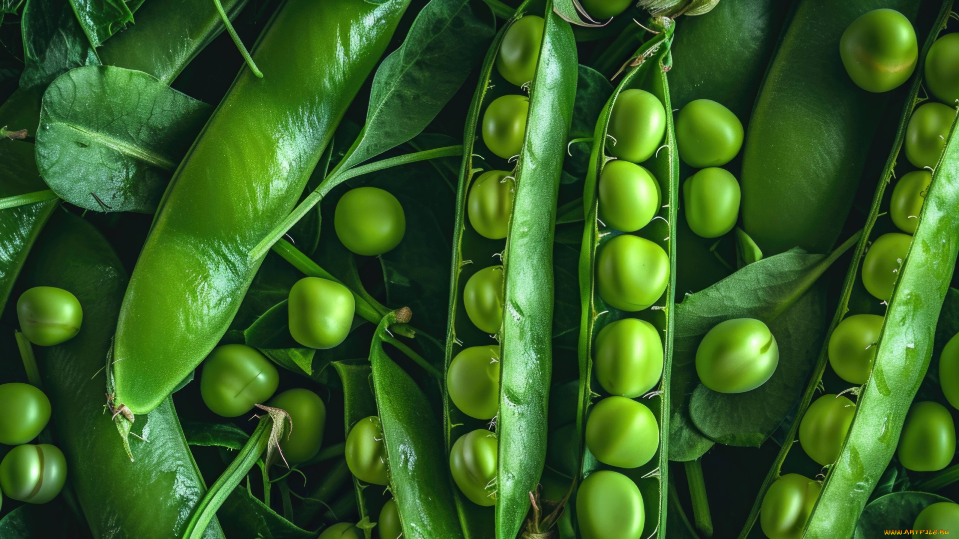 еда, бобовые, стручки, горошек, зеленый, макро