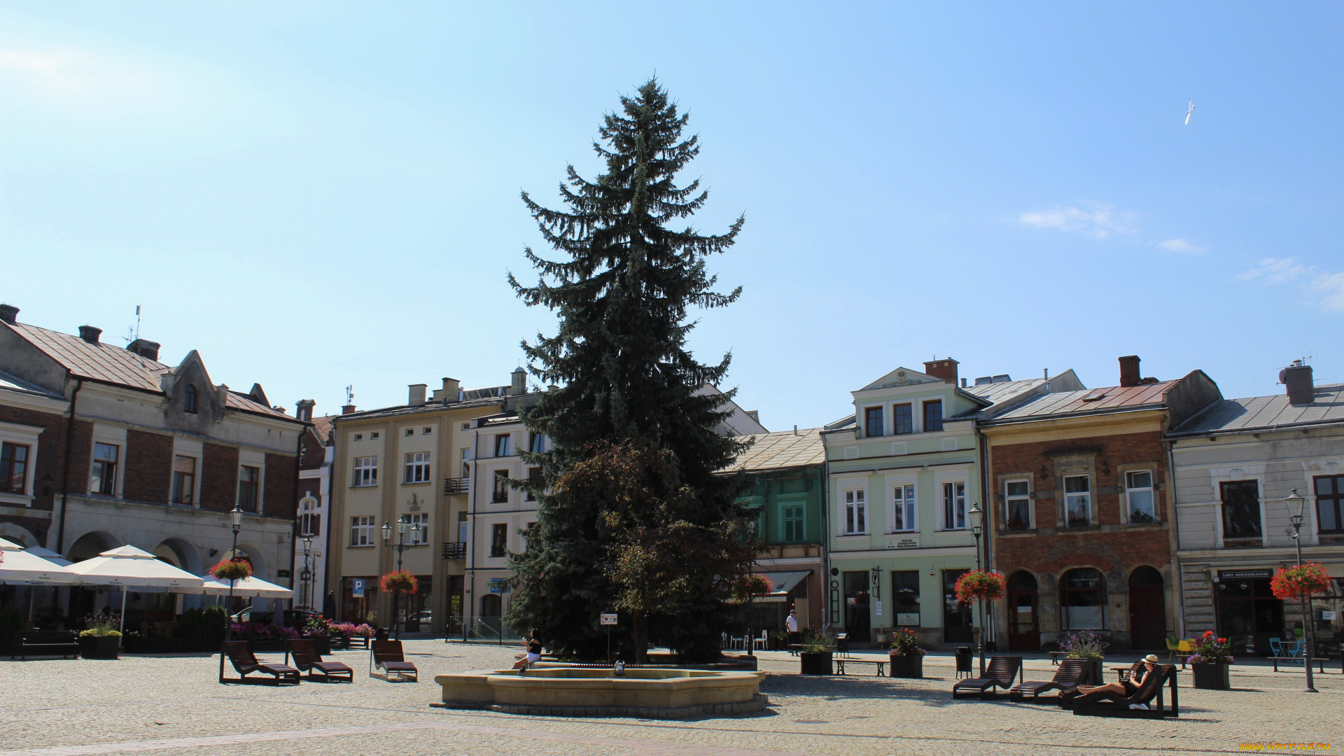 krosno, podkarpackie, voivodeship, poland, города, -, улицы, , площади, , набережные, podkarpackie, voivodeship