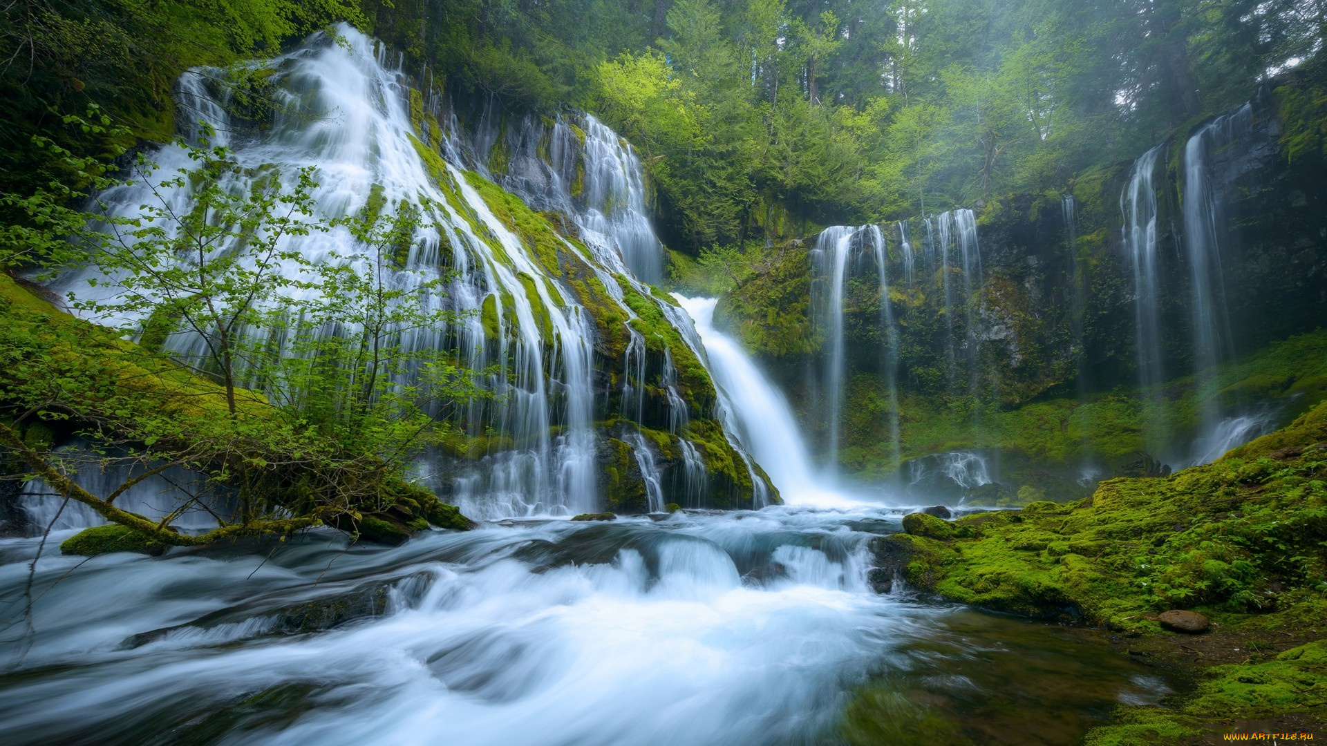 panther, creek, falls, columbia, river, gorge, washington, природа, водопады, panther, creek, falls, columbia, river, gorge