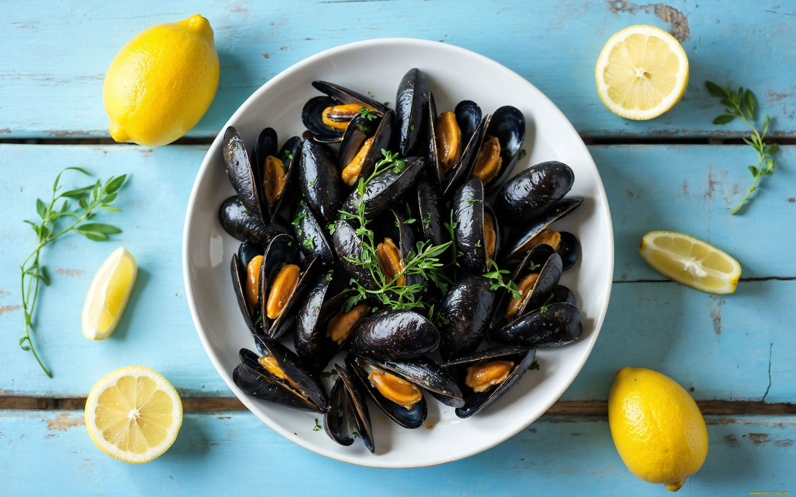 3д, графика, еда-, food, мидии