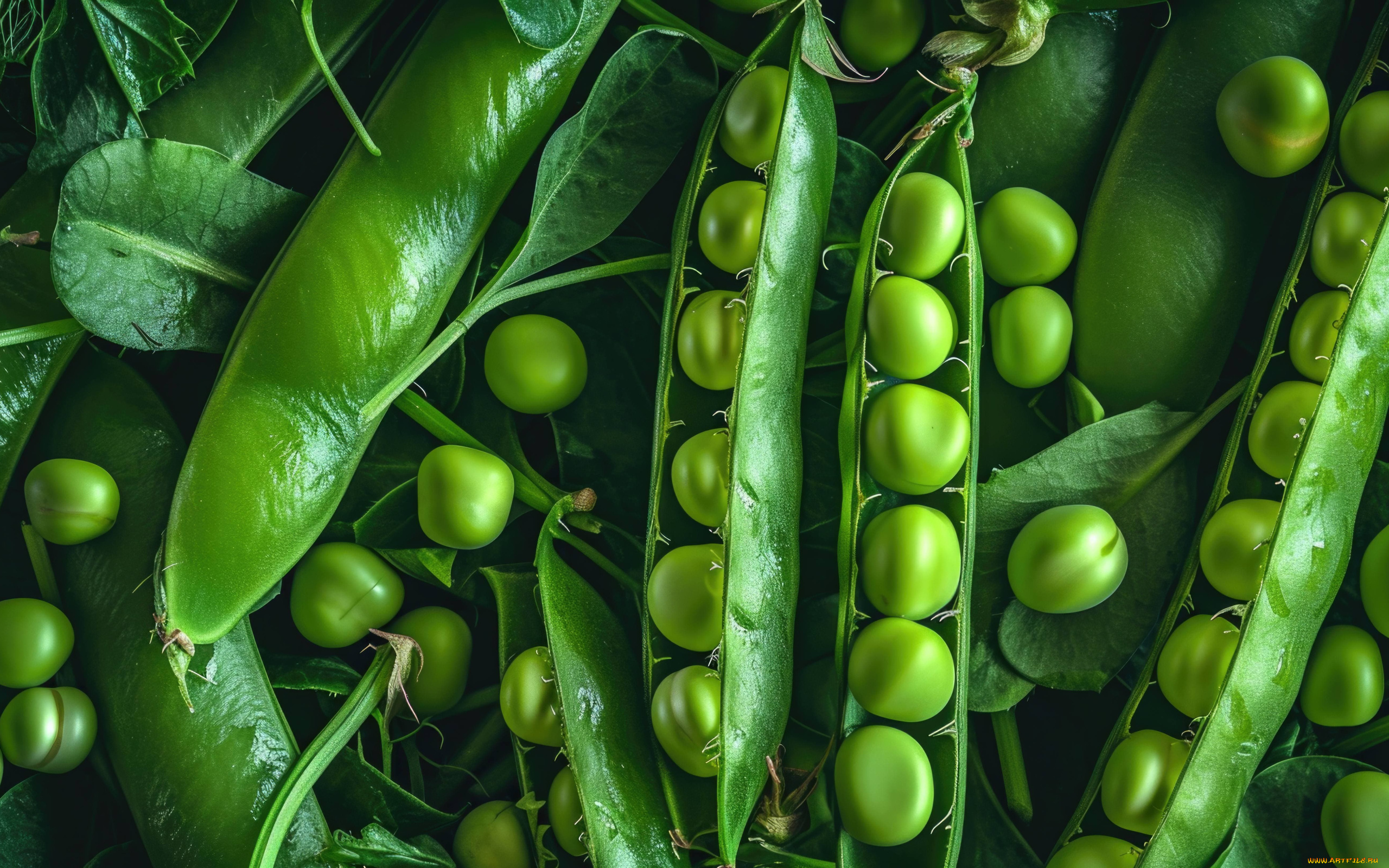 еда, бобовые, стручки, горошек, зеленый, макро