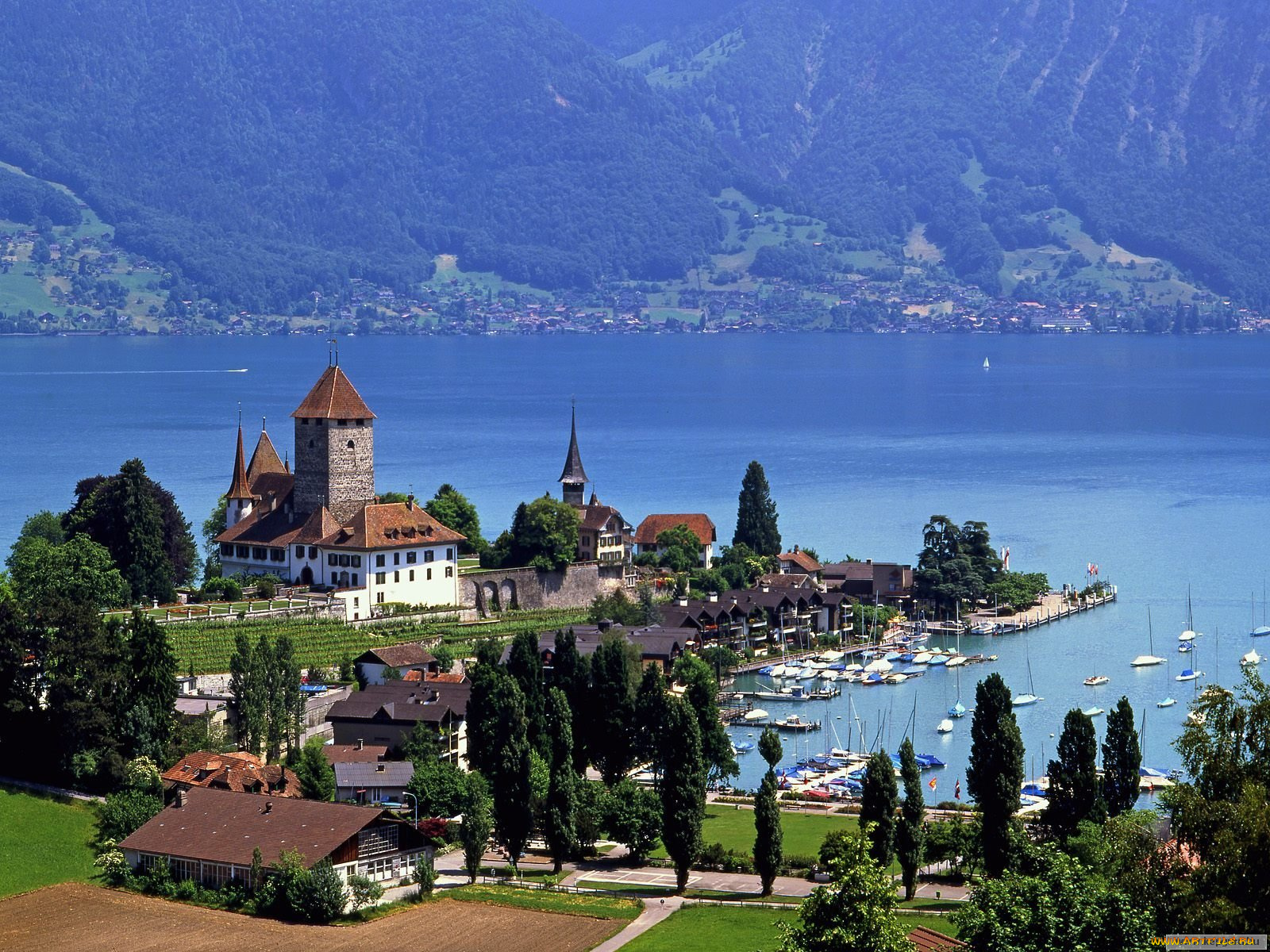 города, дворцы, замки, крепости, spiez, castle, switzerland