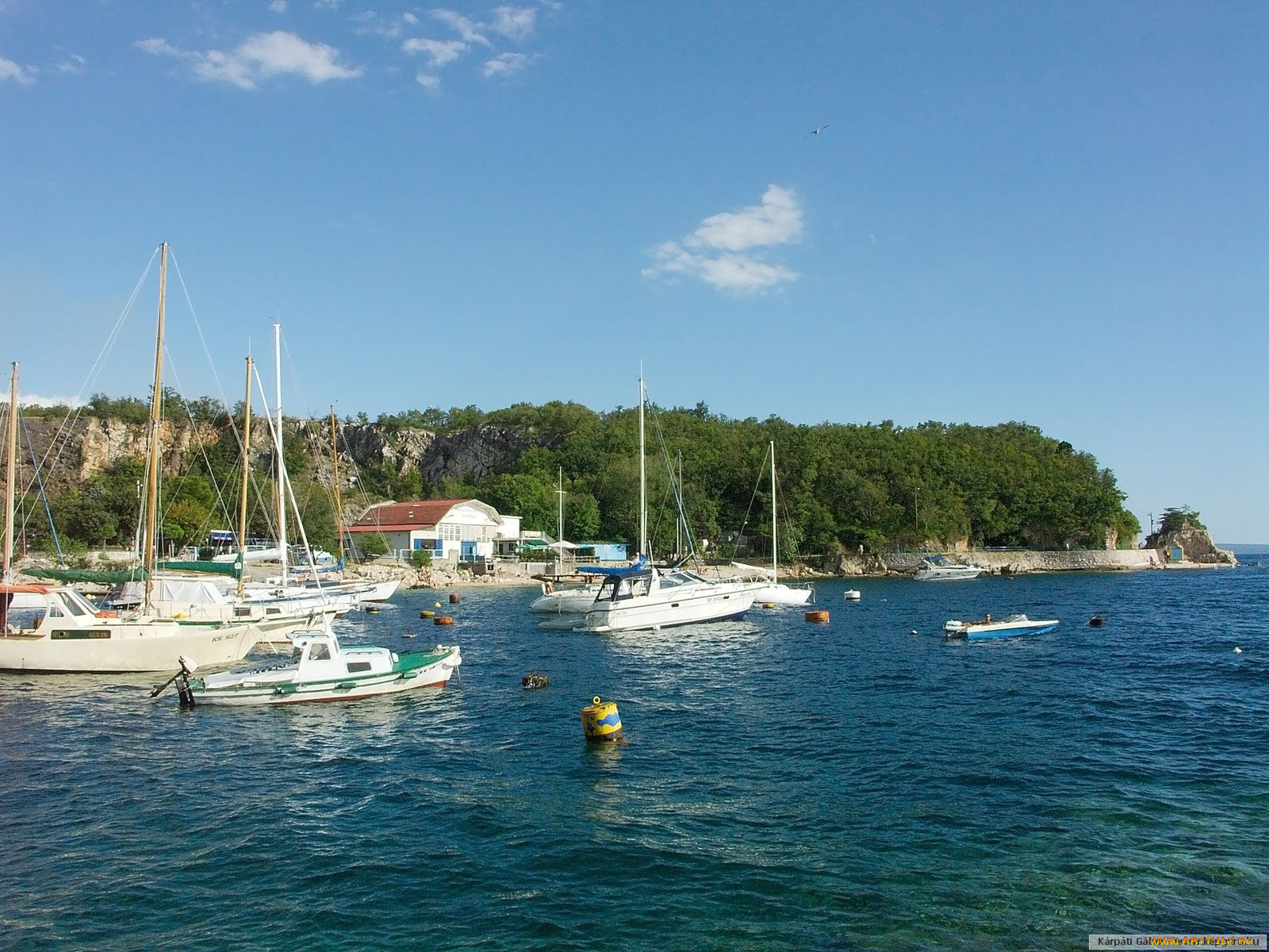 корабли, разные, вместе