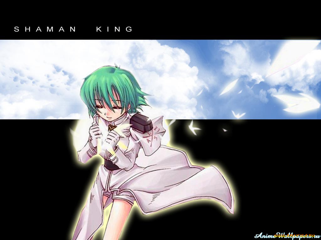 аниме, shaman, king