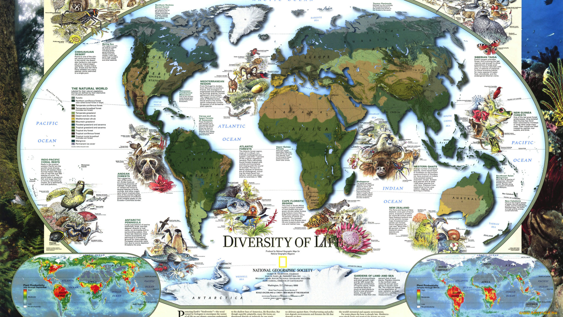 разное, глобусы, карты