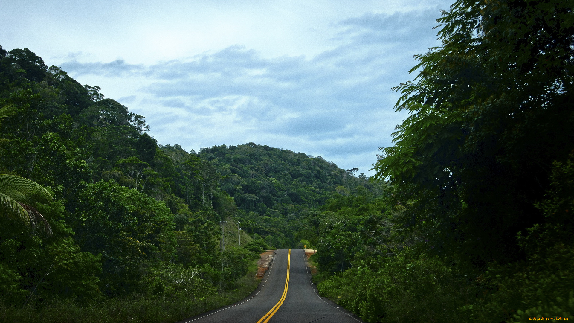 природа, дороги, лес