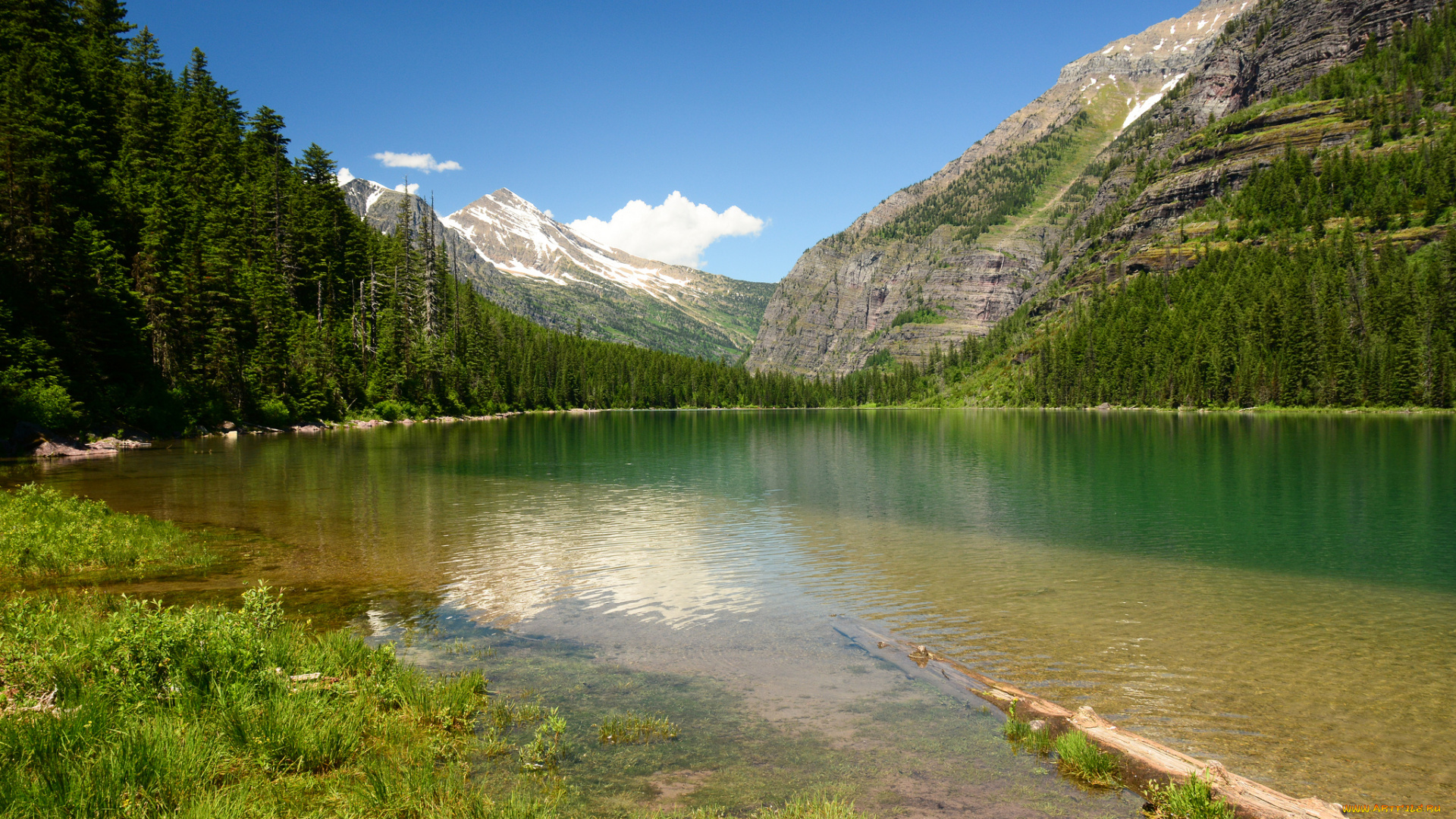 avalanche, lake, glacier, national, park, montana, природа, реки, озера, глейшер, монтана, озеро, горы
