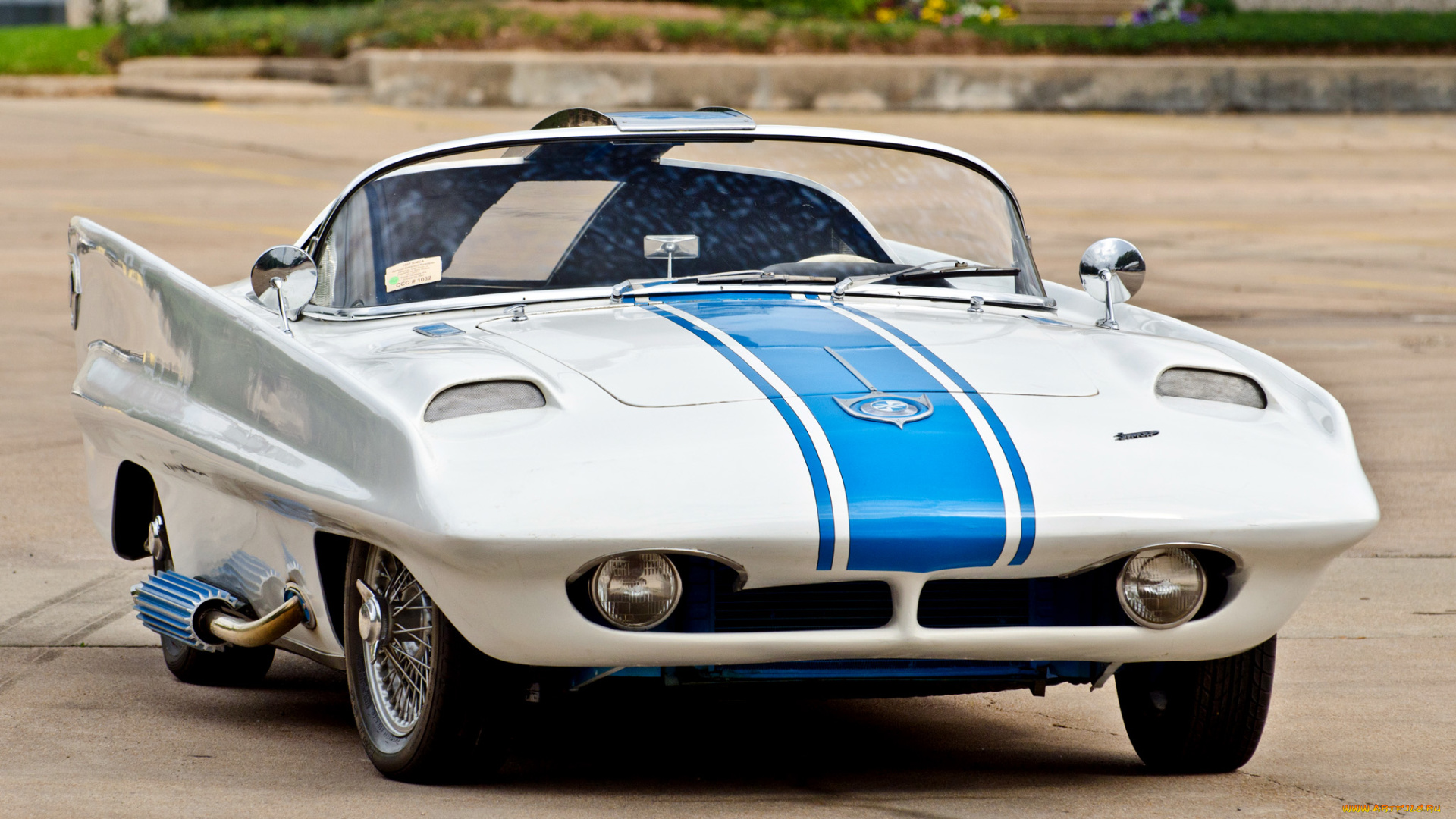 автомобили, ac, cobra, shelby, car