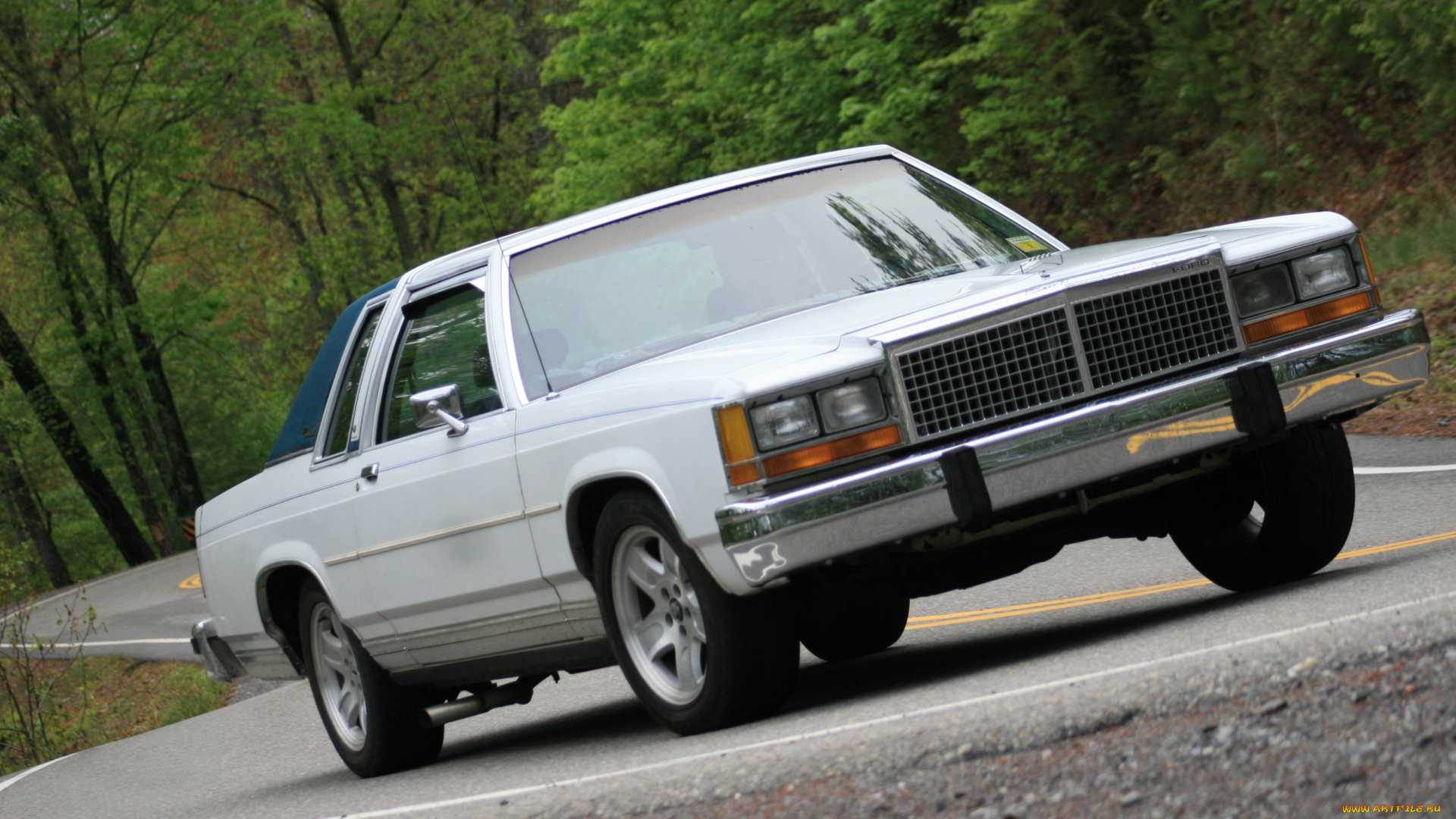 автомобили, ford, wallpaper