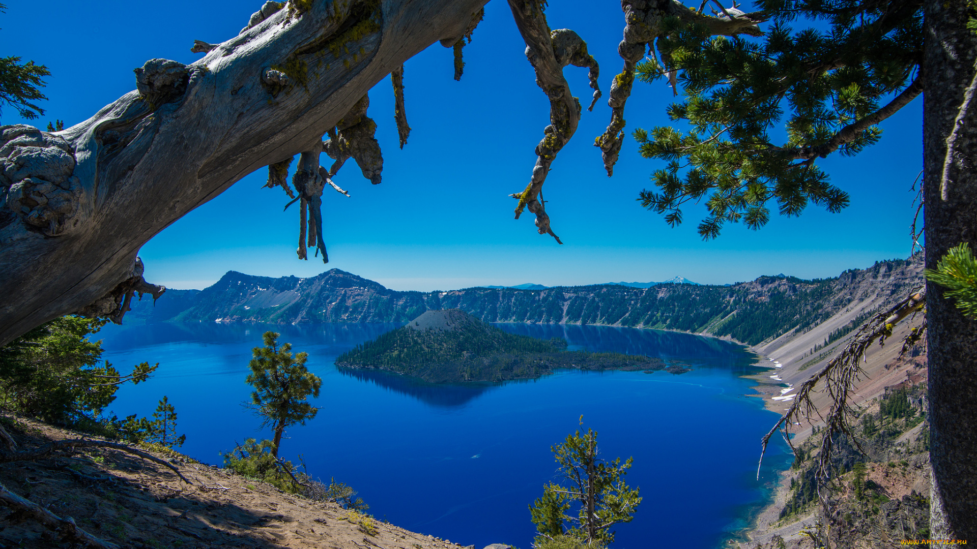 crater, lake, national, park, oregon, природа, реки, озера, деревья, озеро, крейтер, орегон, остров