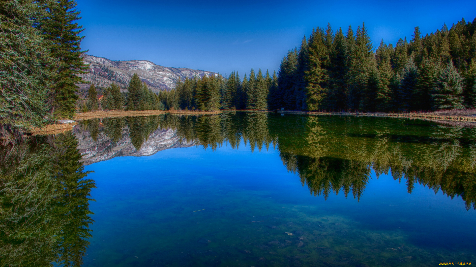 crystal, river, colorado, природа, реки, озера, колорадо, река, отражение, лес, горы