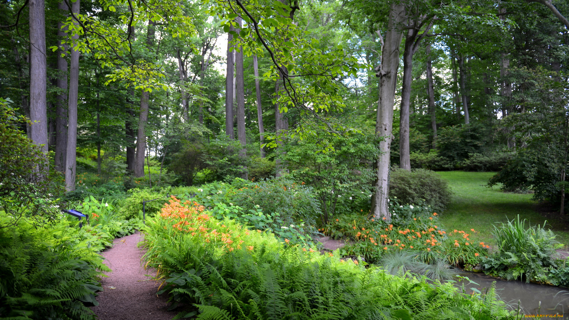 delaware, сша, природа, парк, растения, дорожки